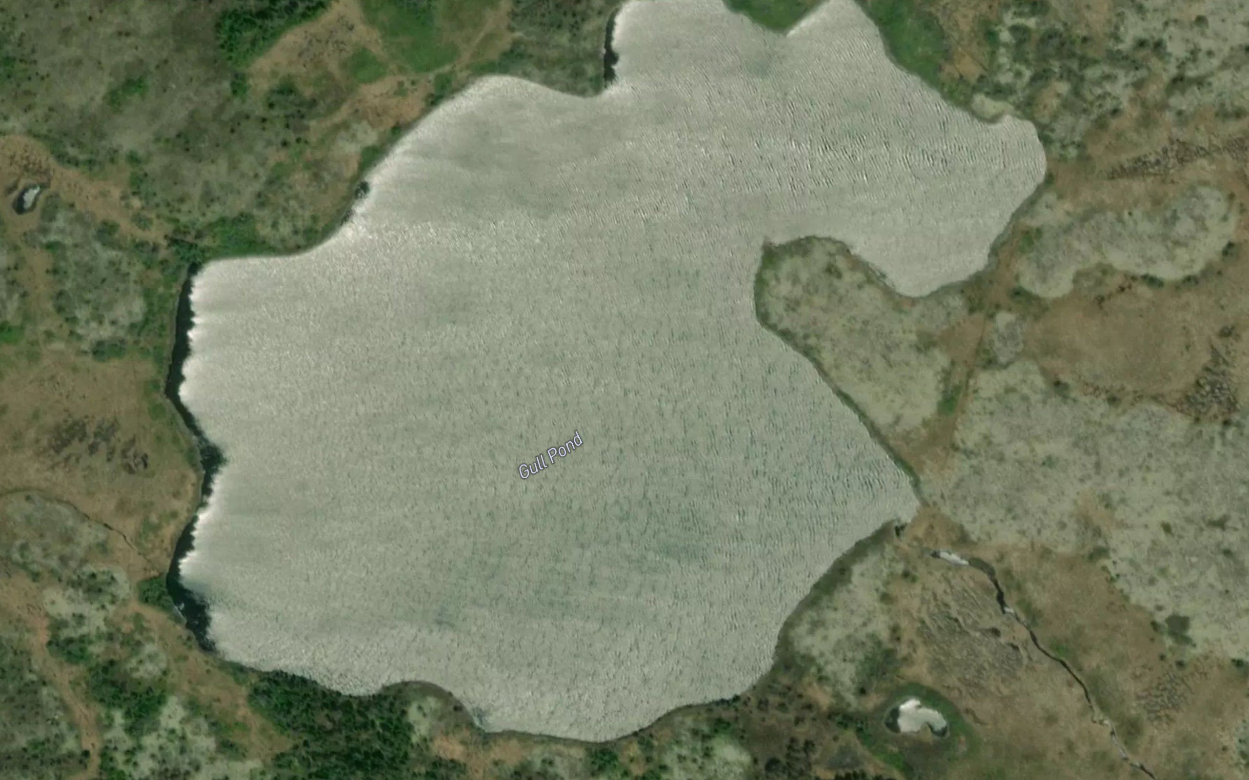 Gull Pond