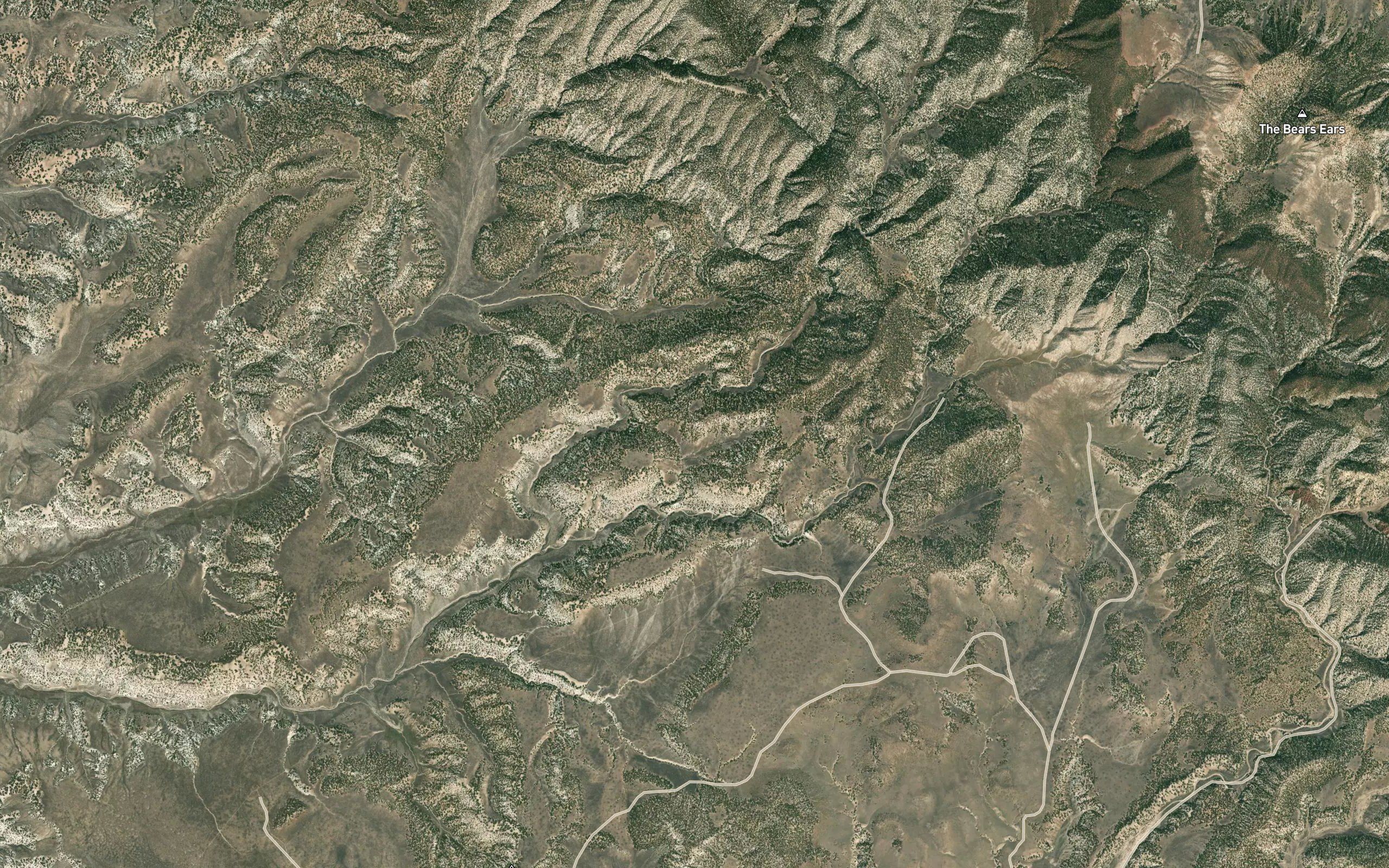 Talamantes Creek