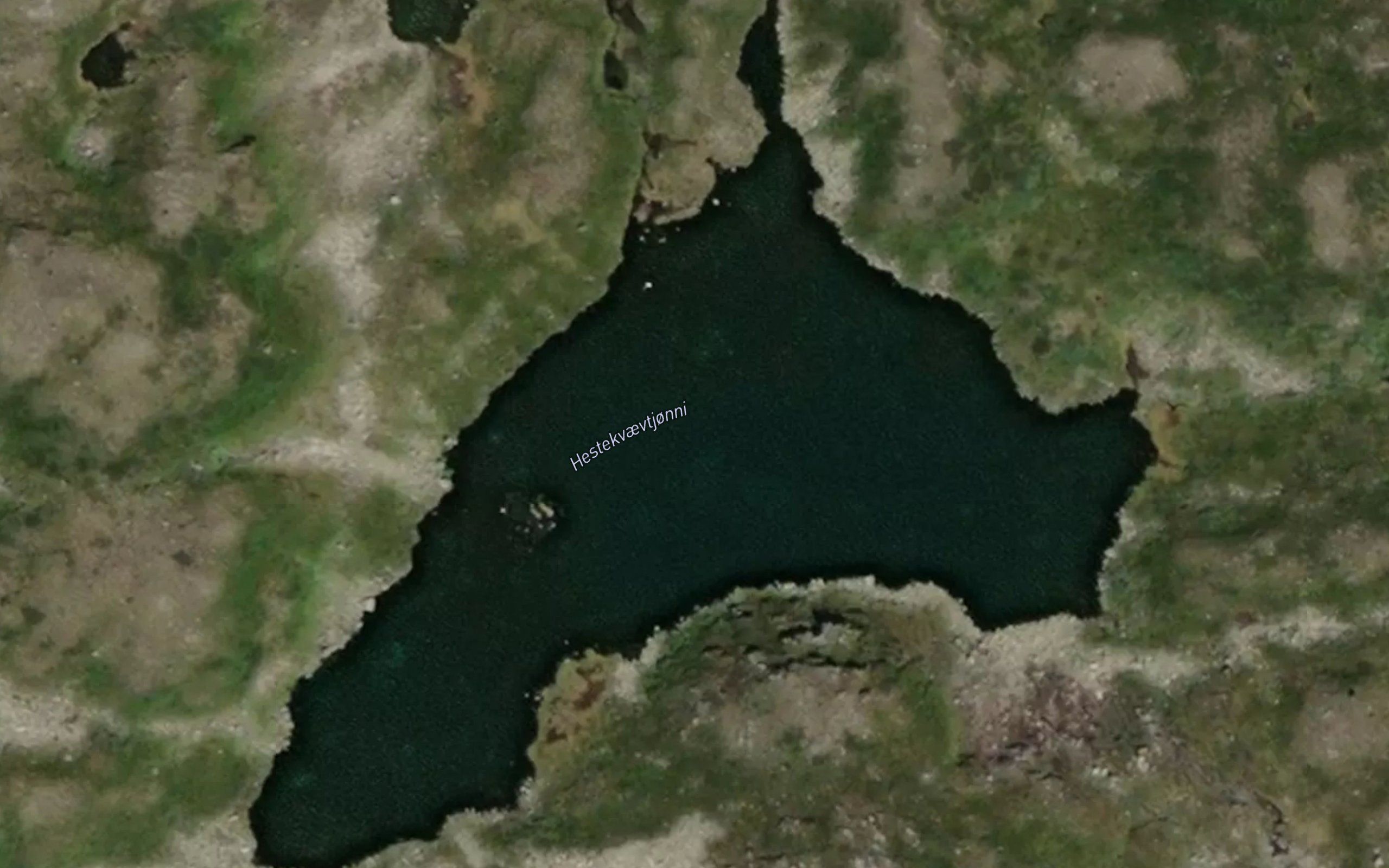 Hestekvaevtjorni