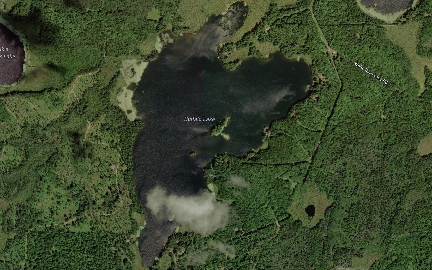 Satellite map of the Buffalo Lake