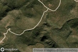 Jenkins Trap Spring