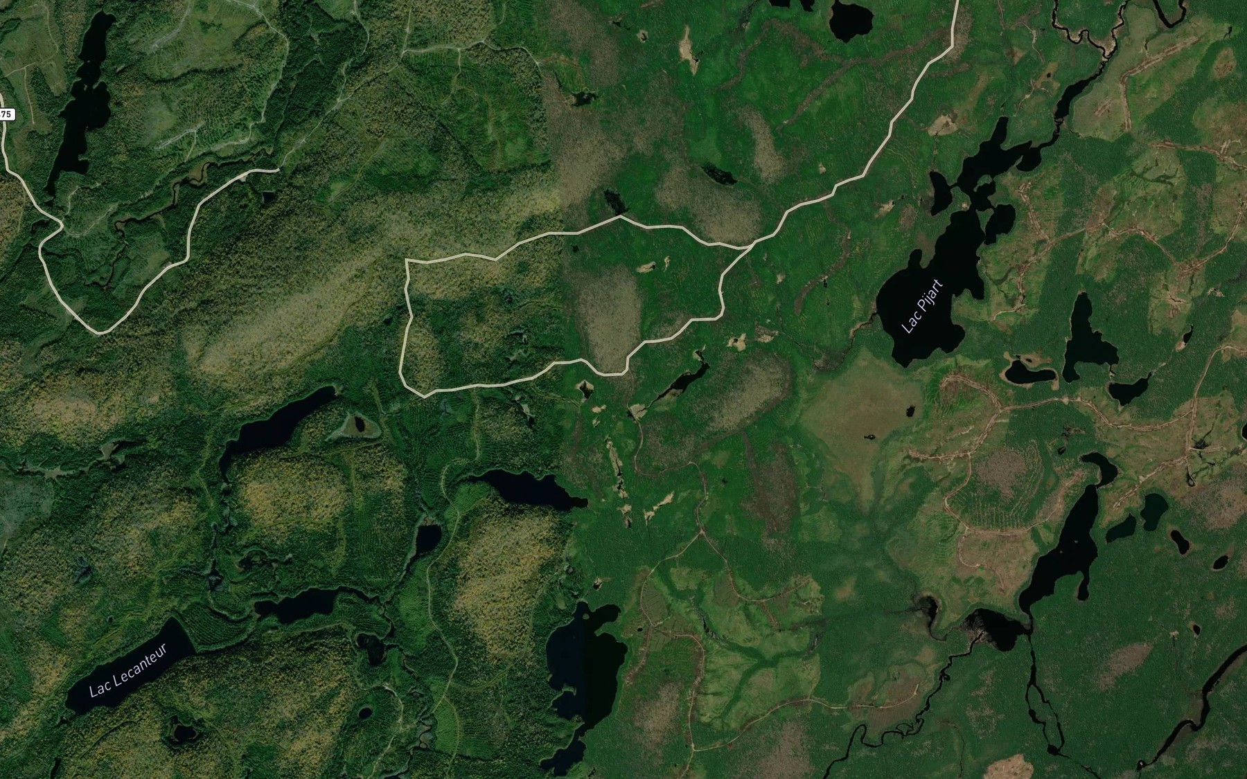 Satellite map of the Lac des Tetards