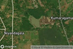 Bagamuwe Wewa