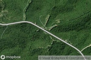 Dog Fork