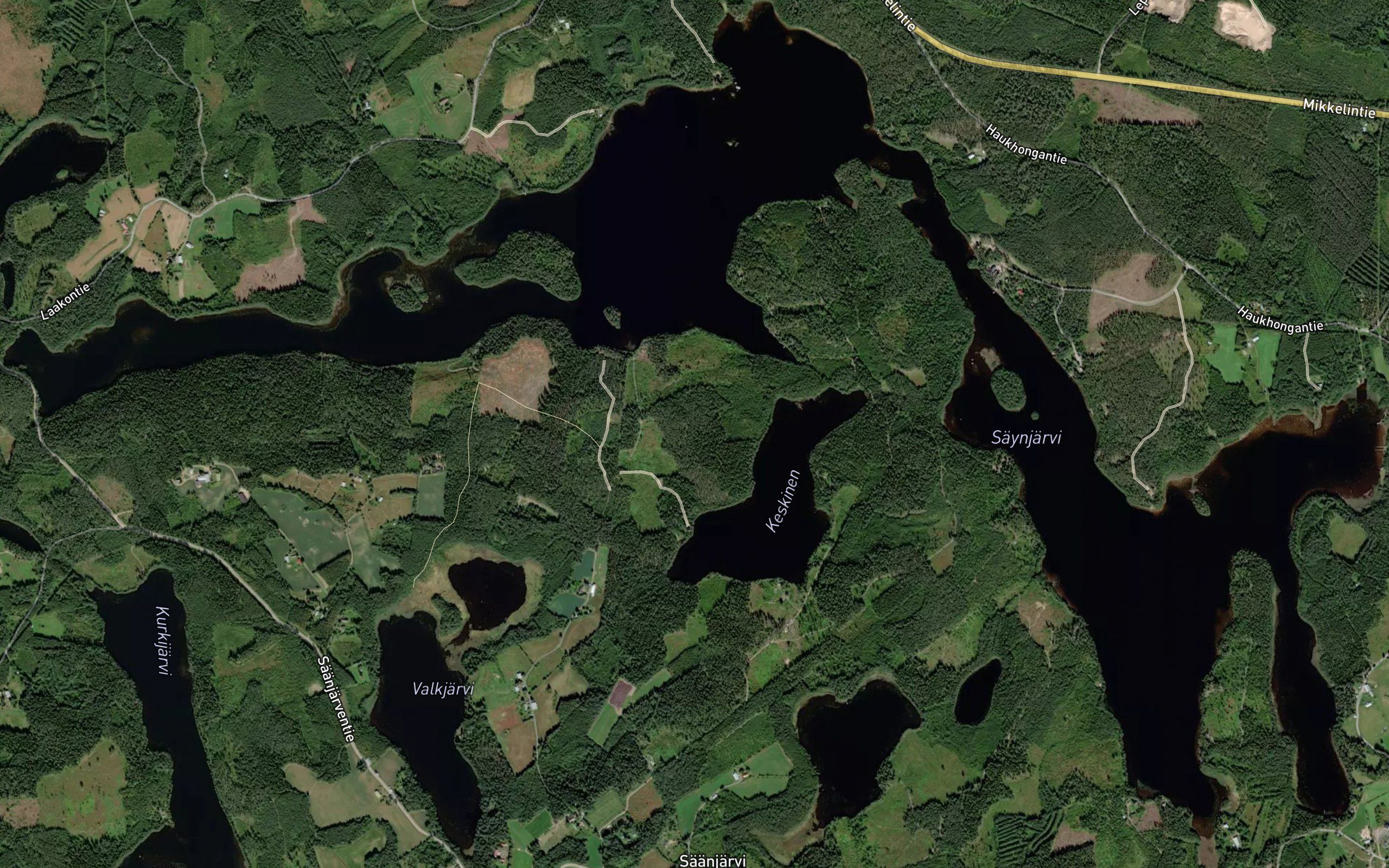 Haukhonkaselka