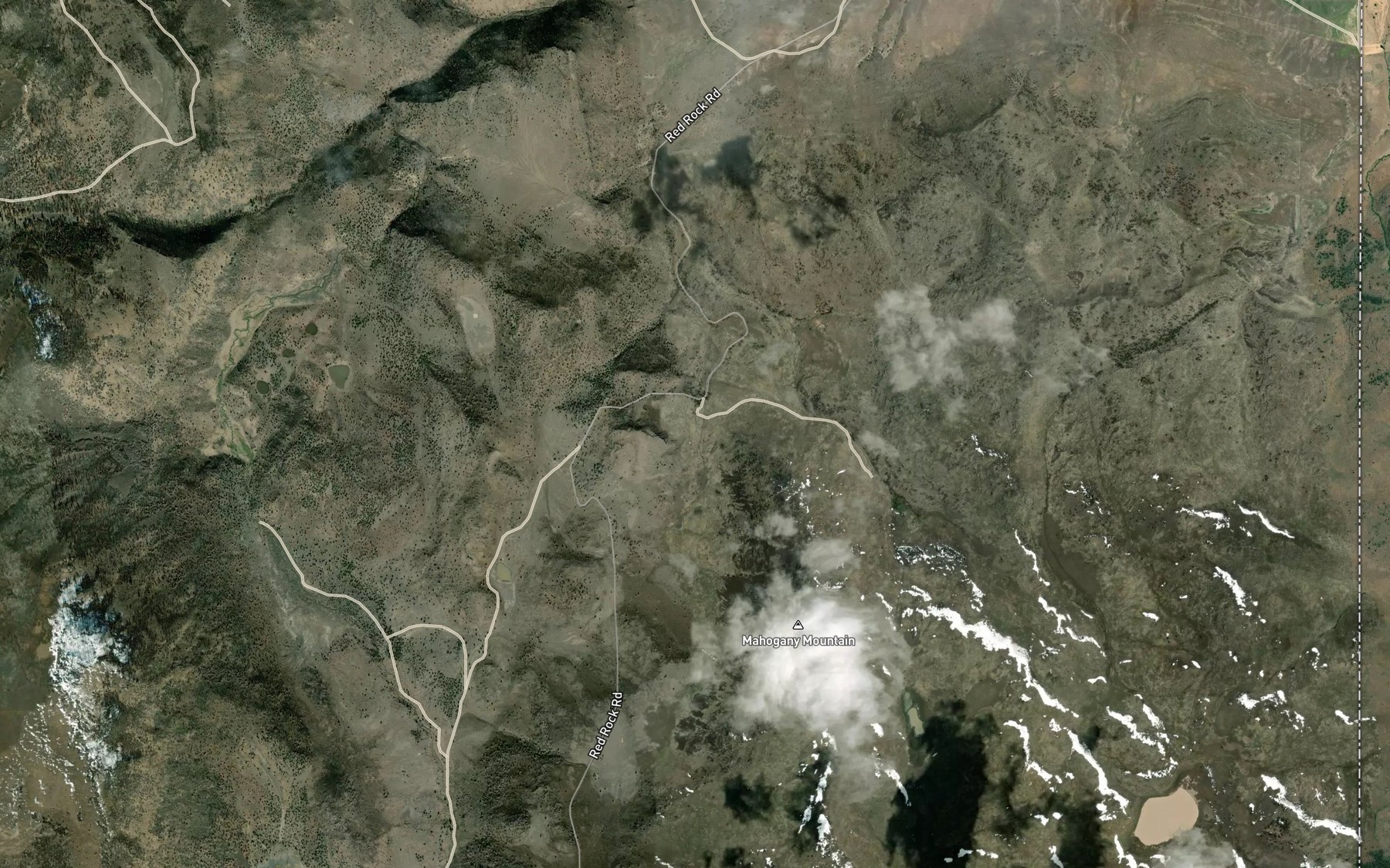 Satellite map of the Ant Spring
