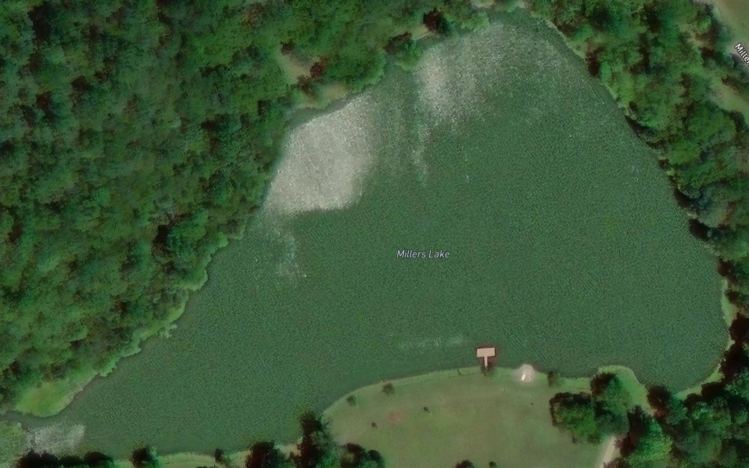 Millers Lake