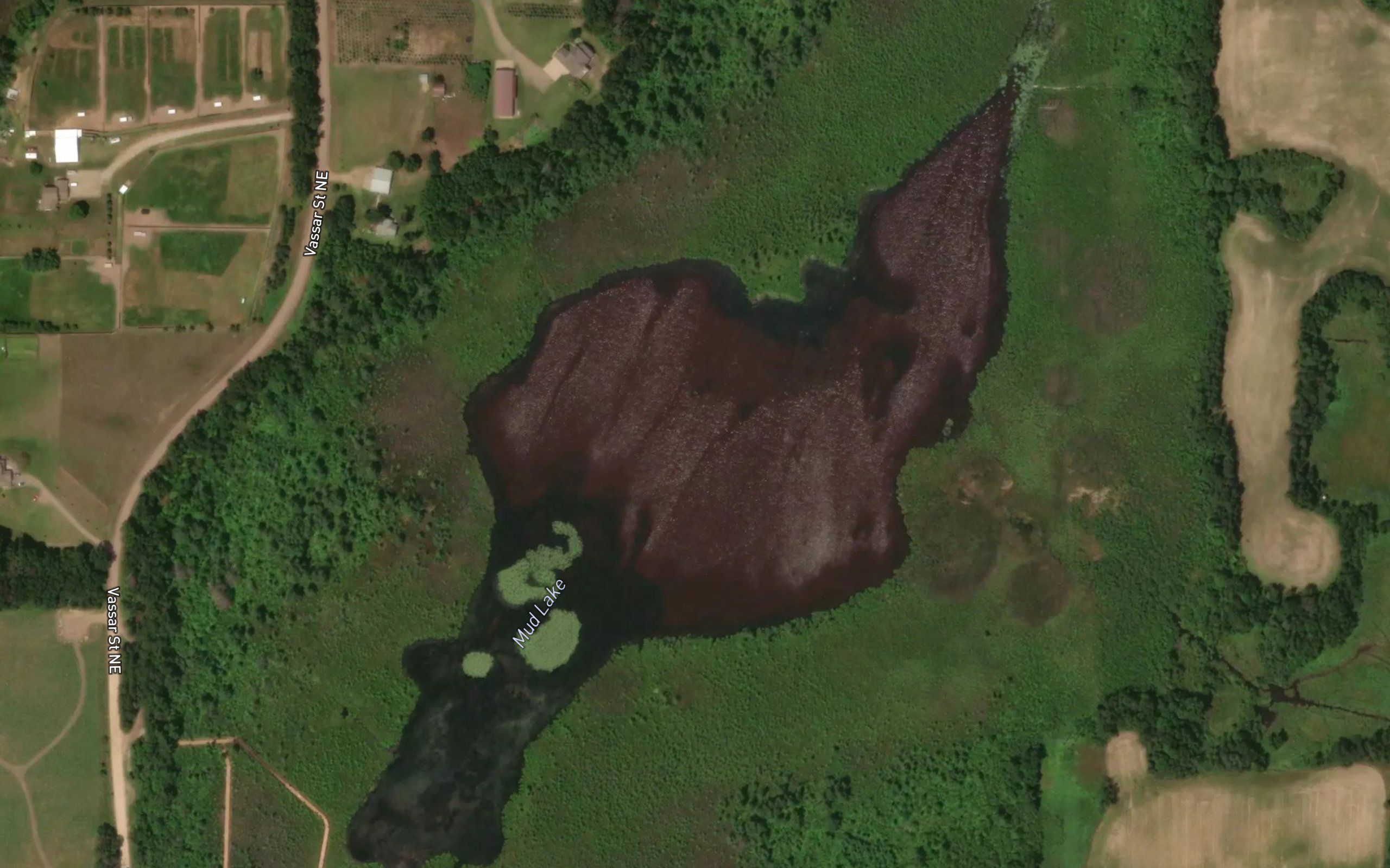 Mud Lake