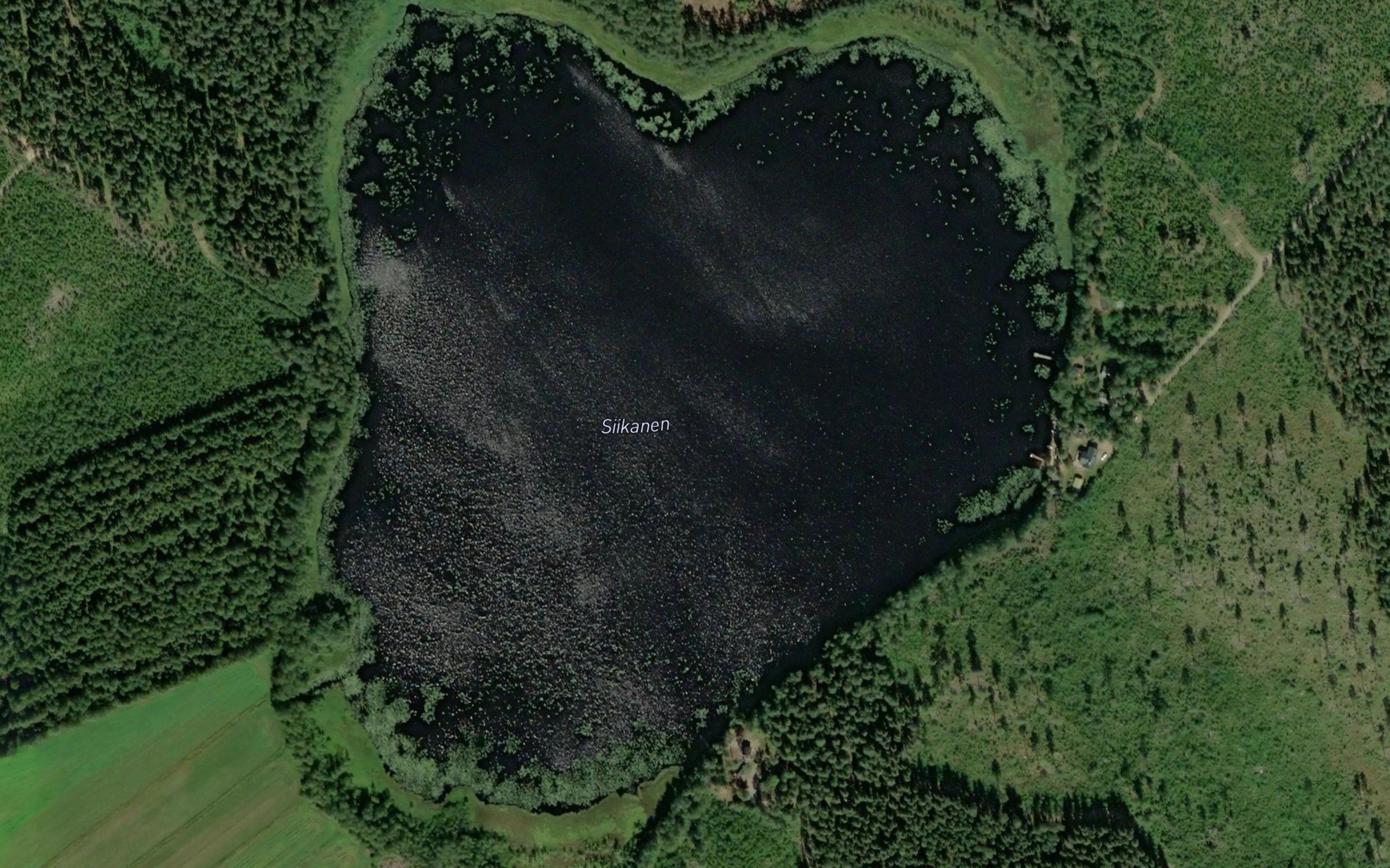 Siikanen