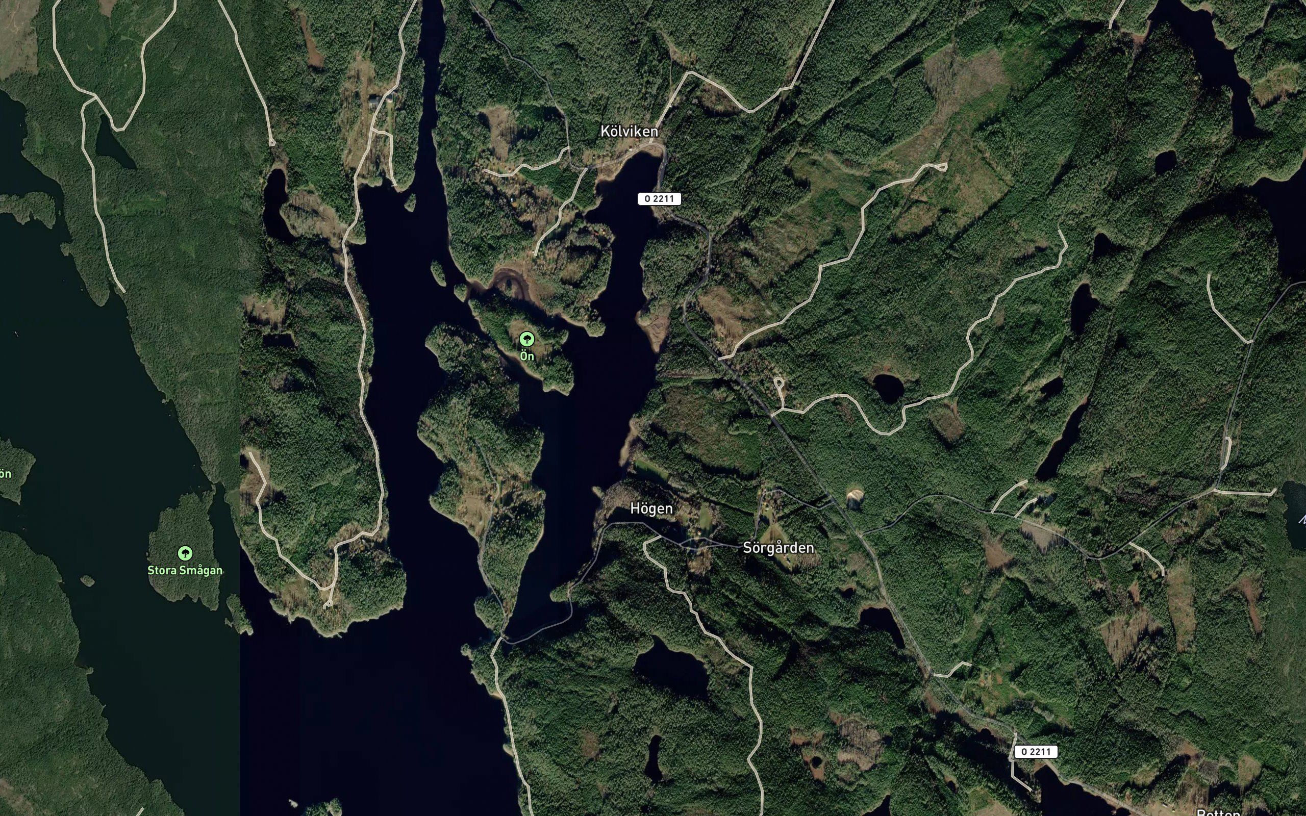 Odegardstjarn