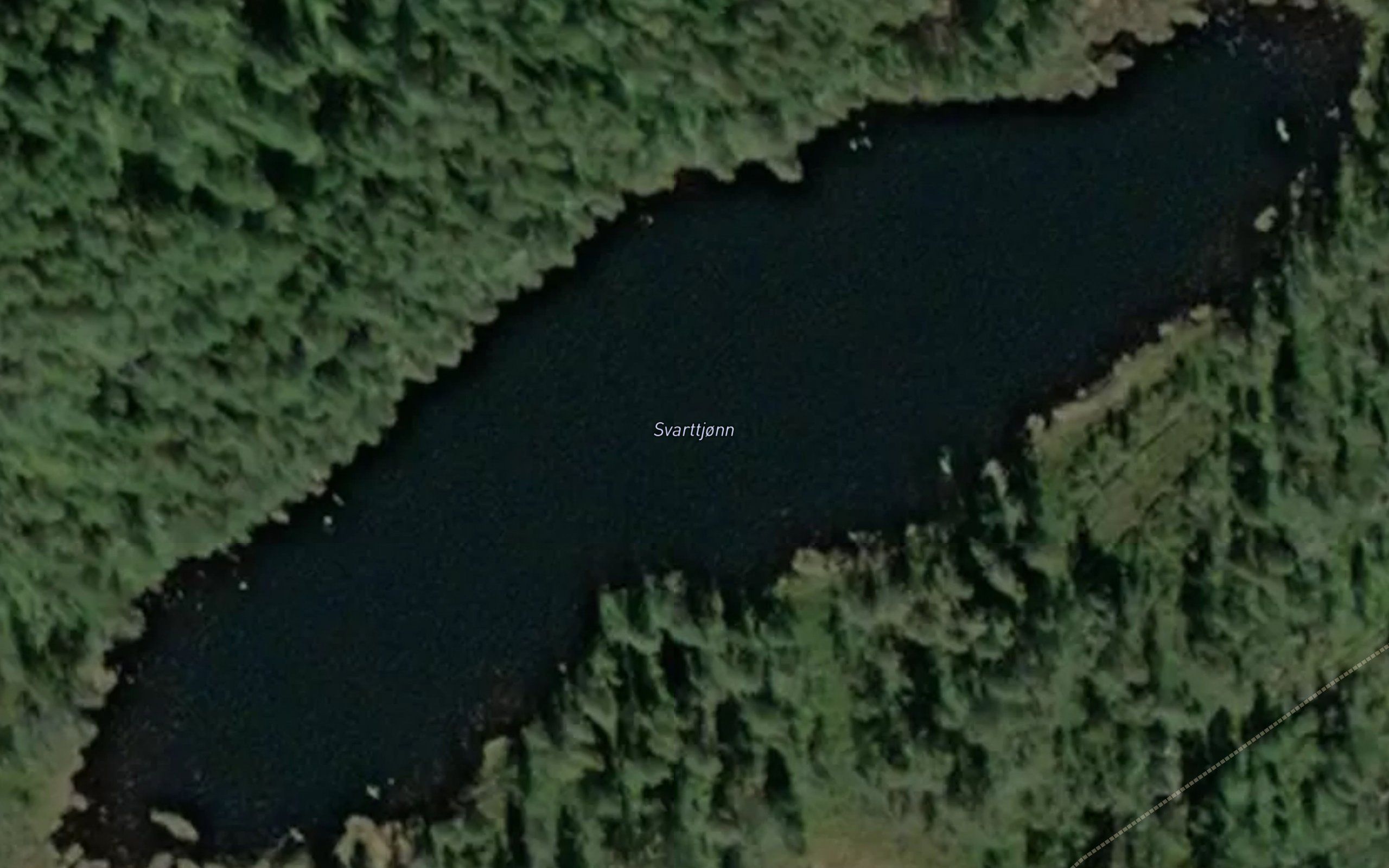 Svorttjorn