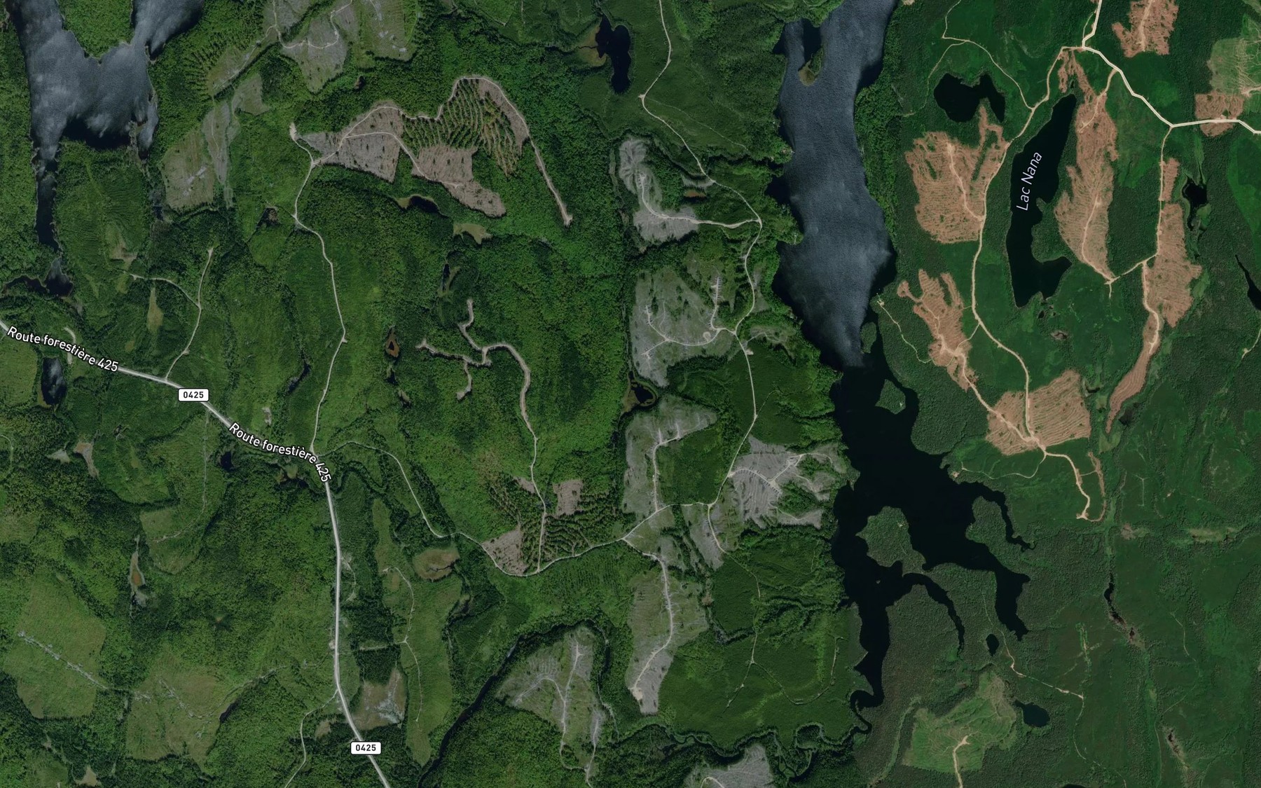 Satellite map of the Lac Elie