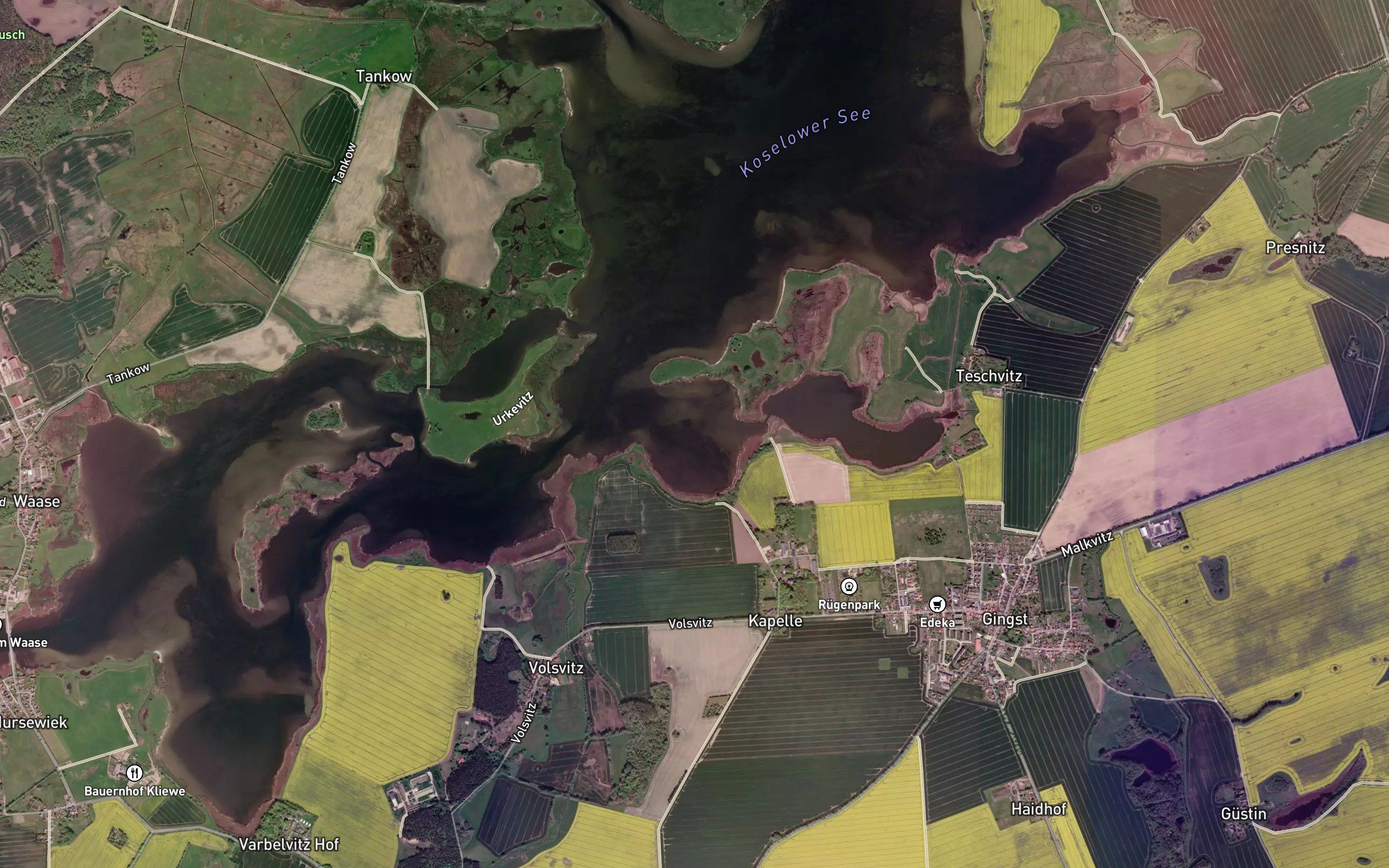 Kapeller See