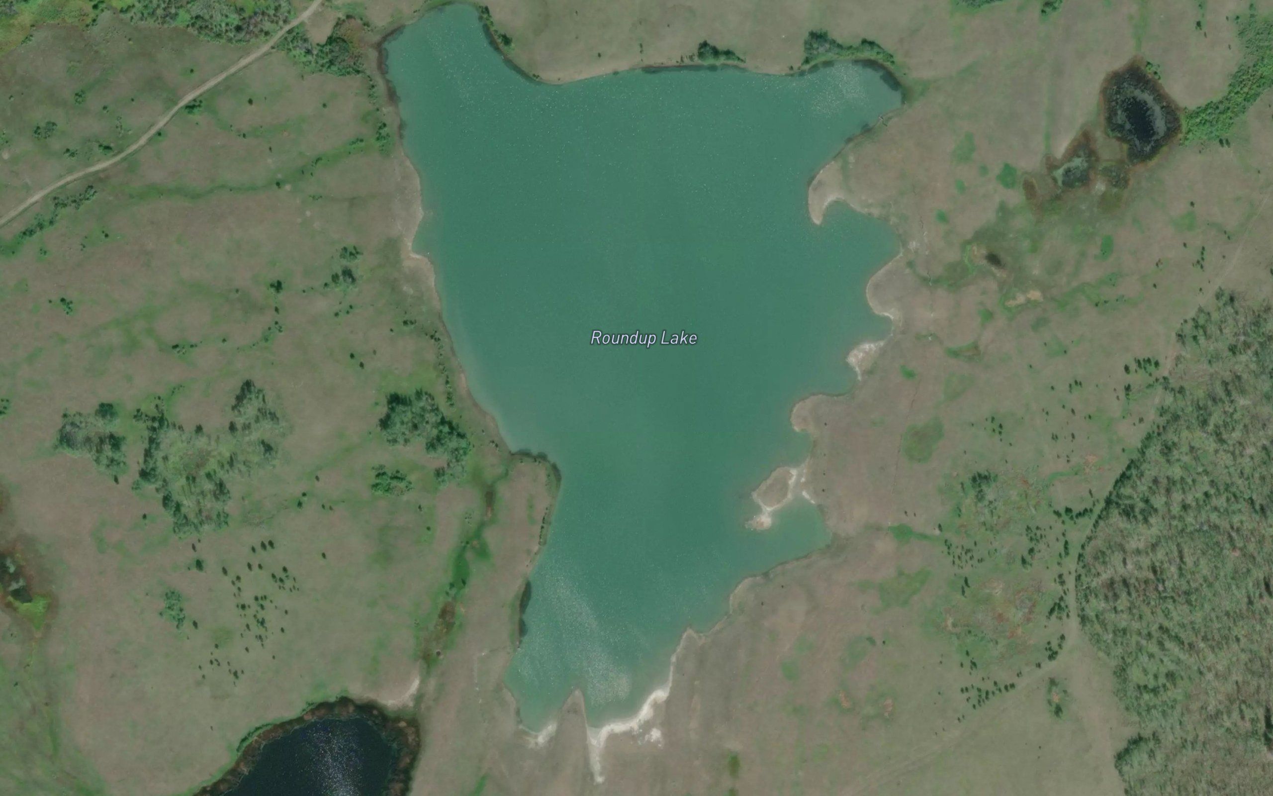 Roundup Lake