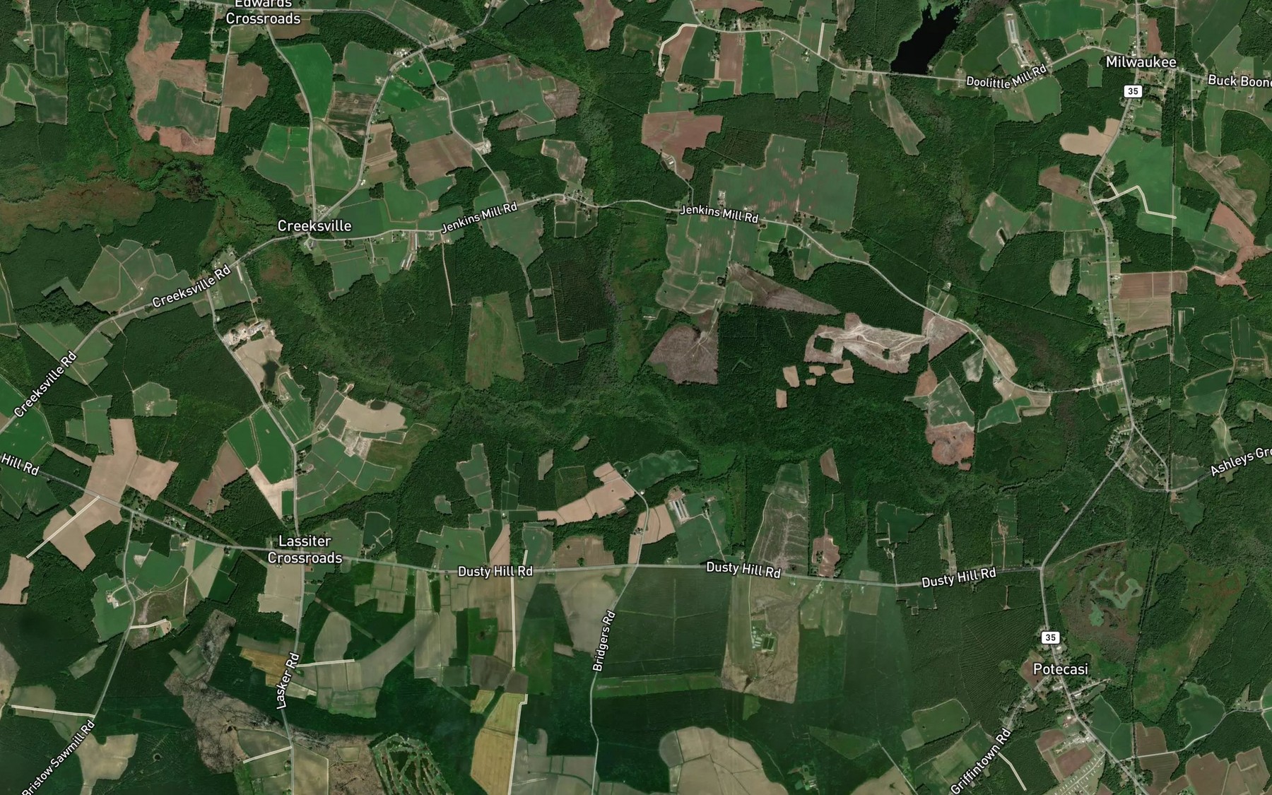 Satellite map of the Wildcat Swamp
