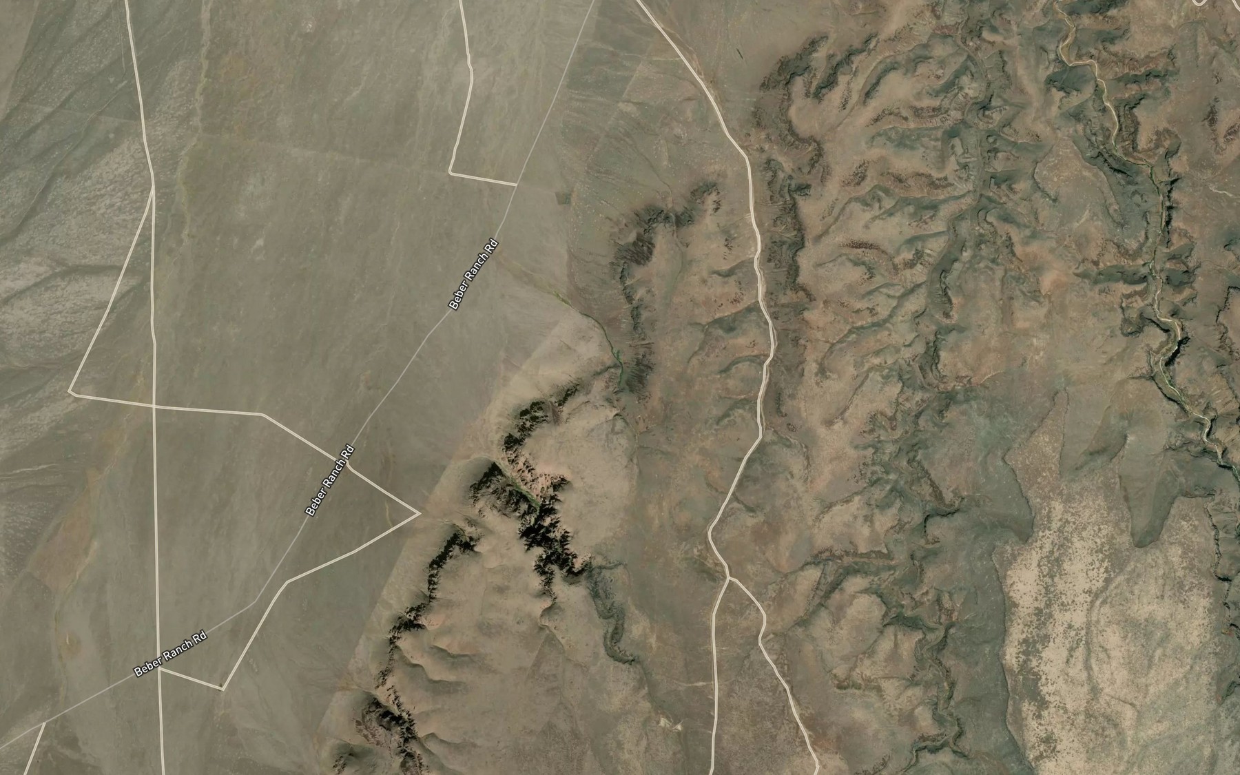 Satellite map of the Tree Spring
