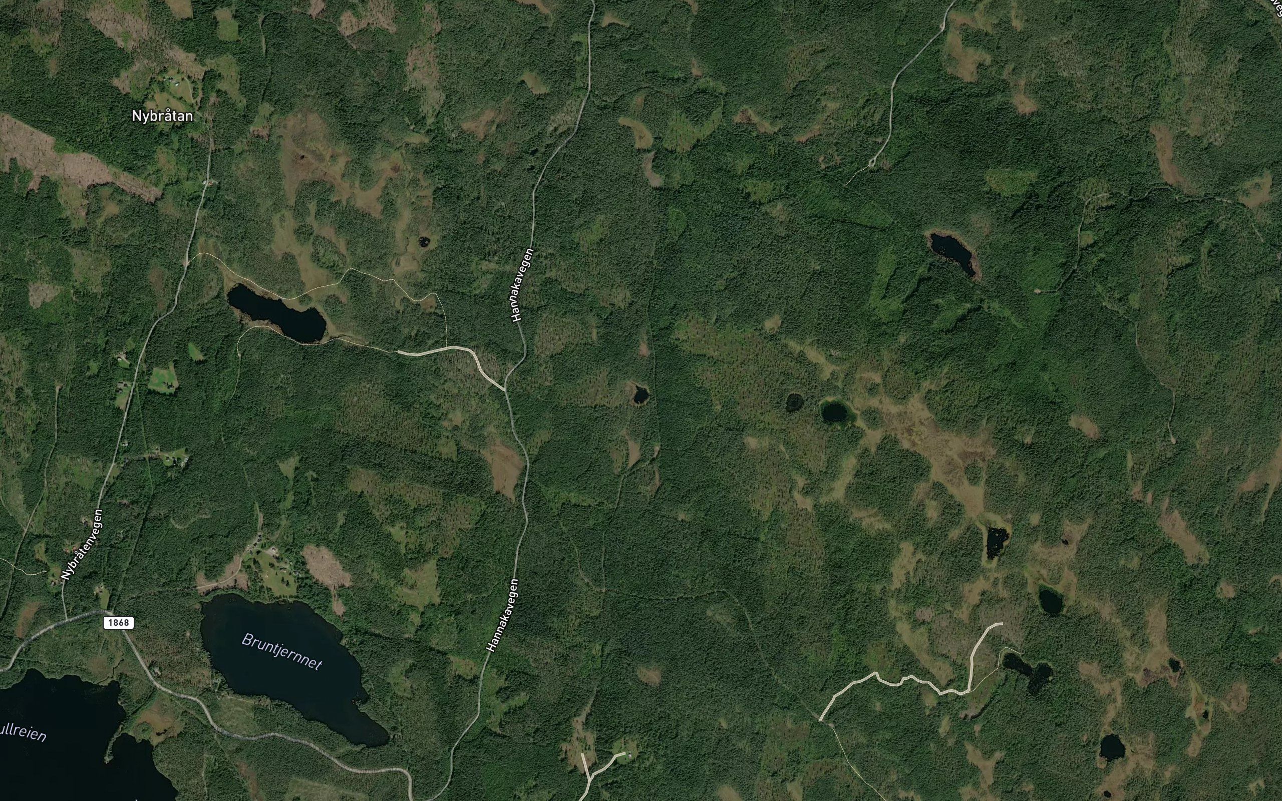 Karttjernet