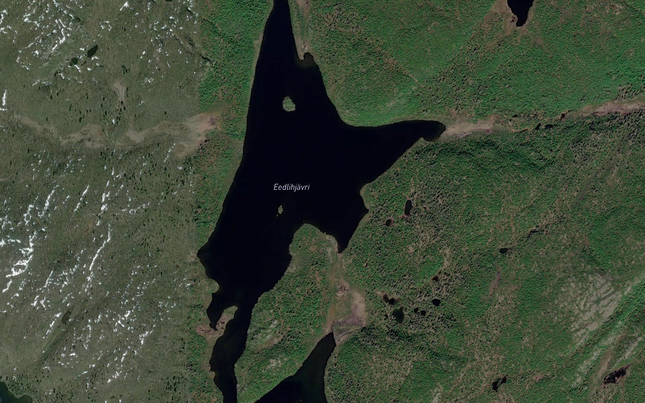 Eedlihjavri