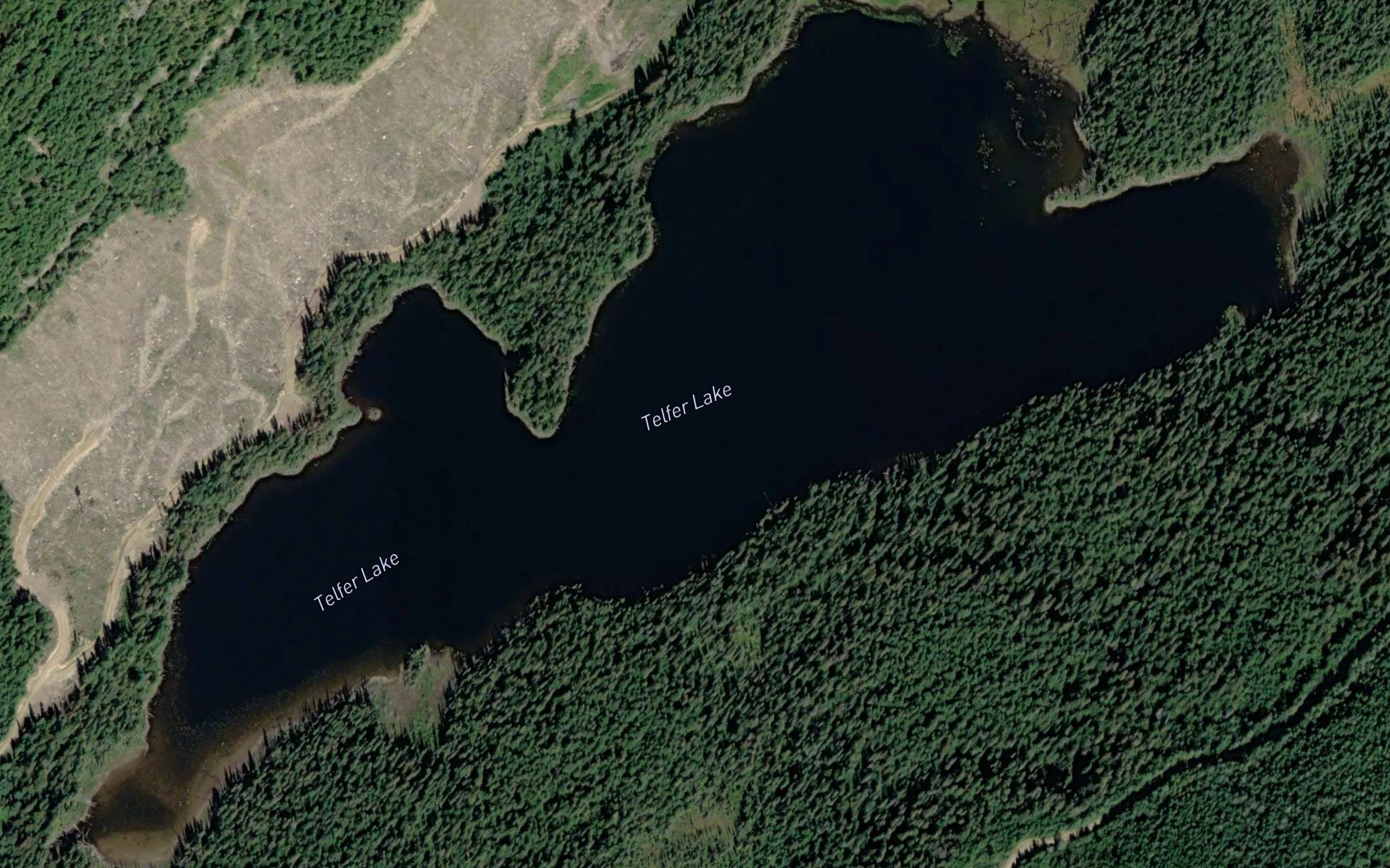 Telfer Lake