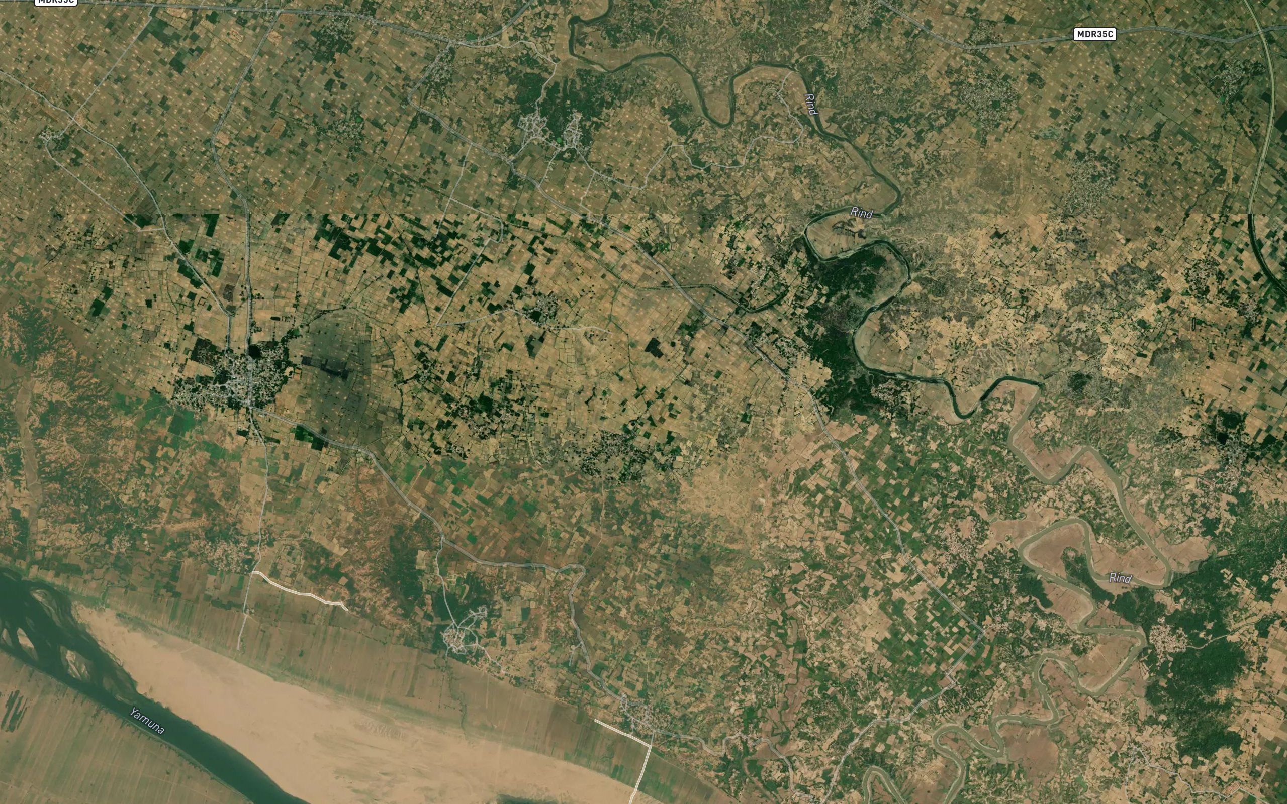 Danda Amauli Minor