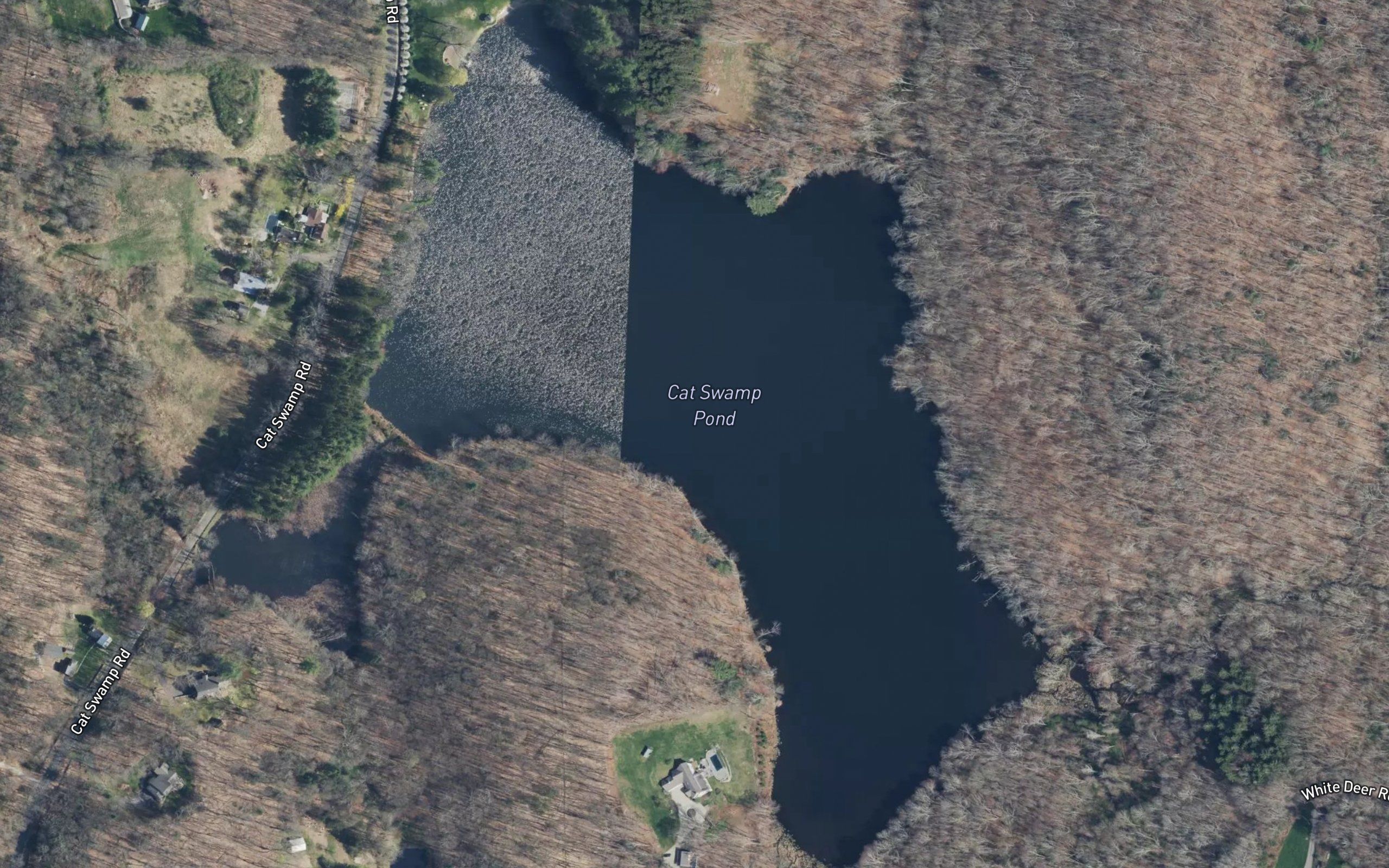Cat Swamp Pond
