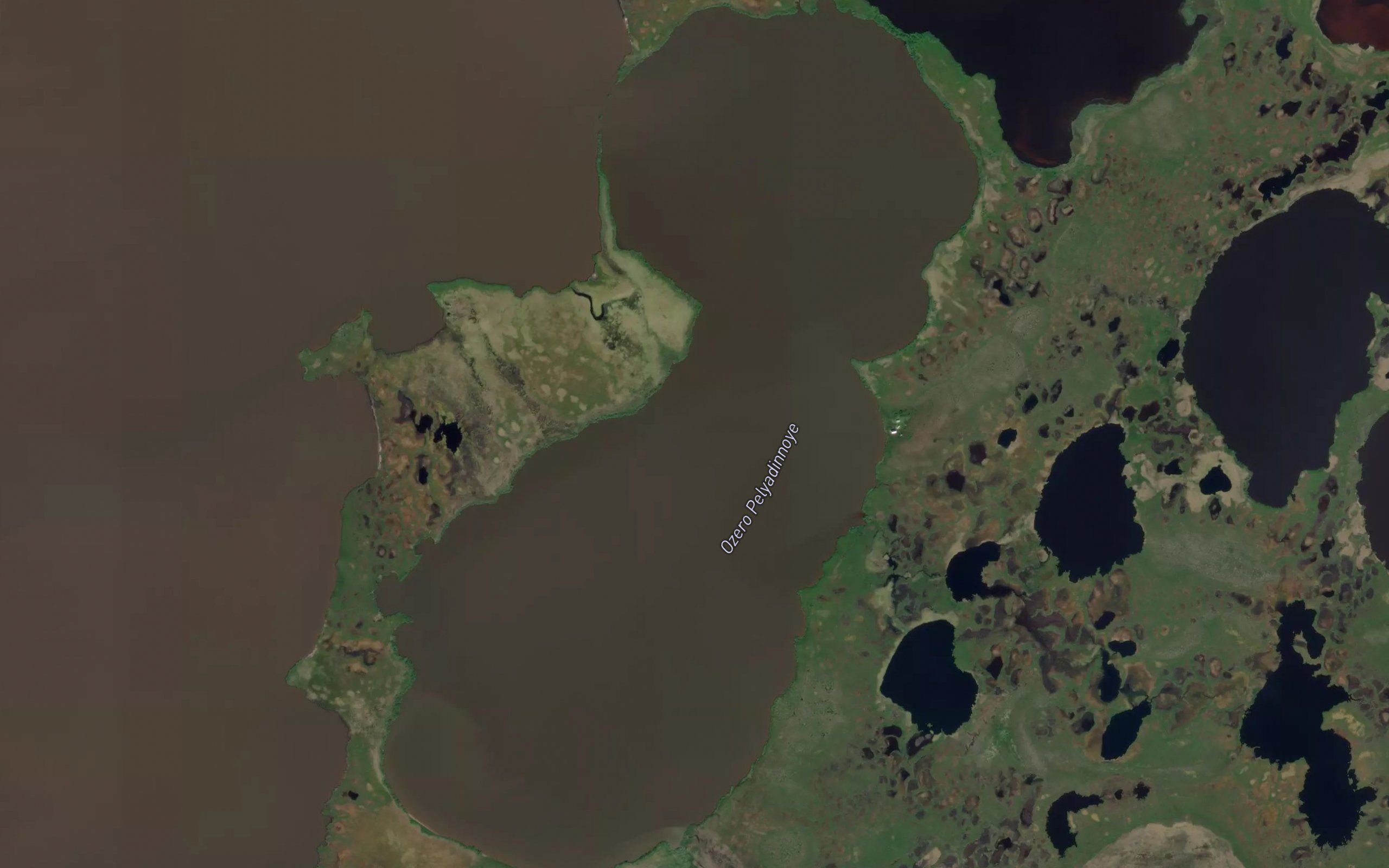 Ozero Pelyadinnoye