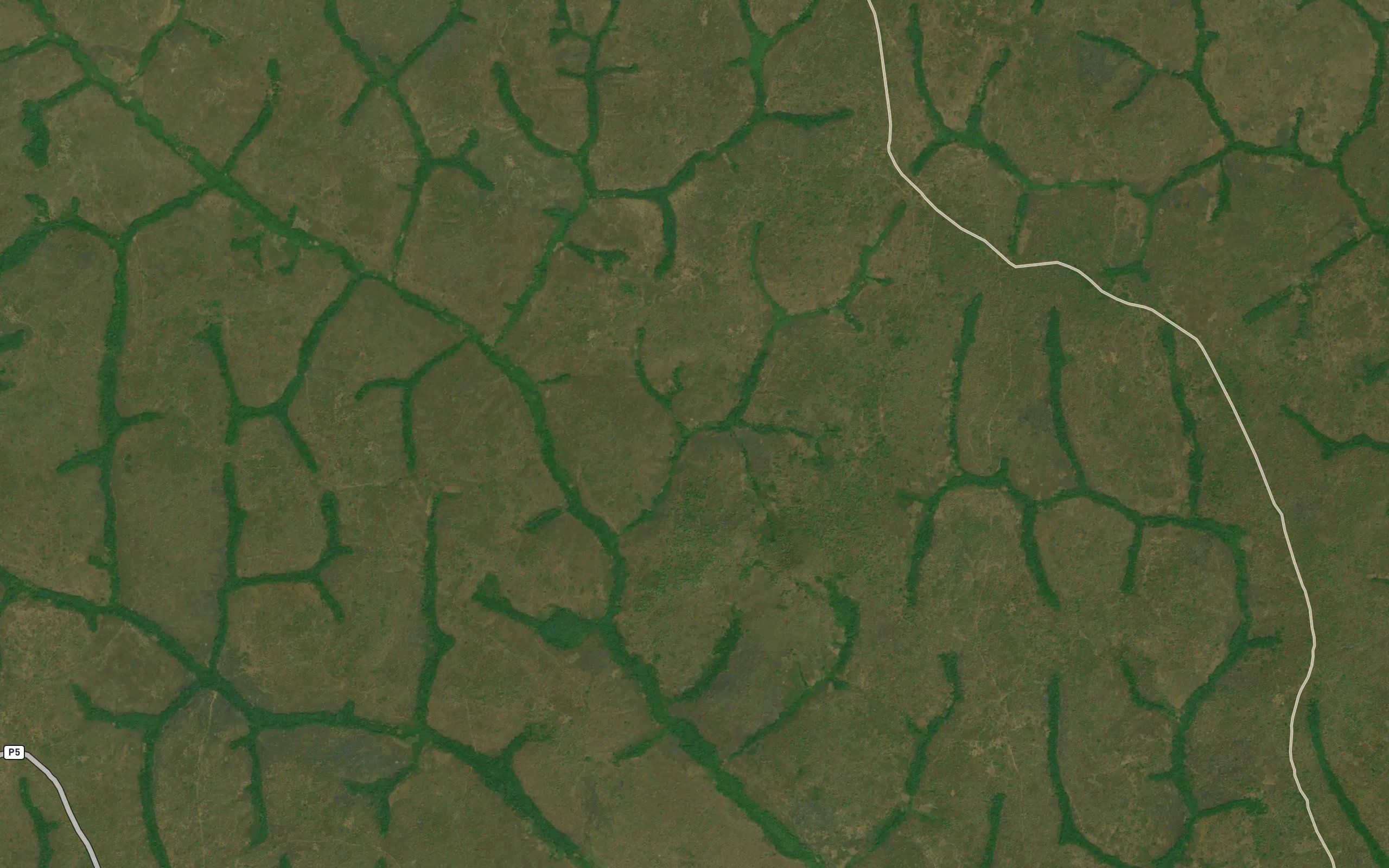 Bengake