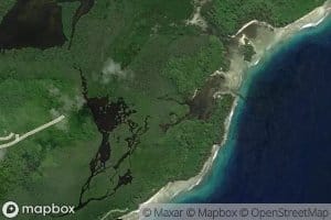 East Mangrove Swamp East