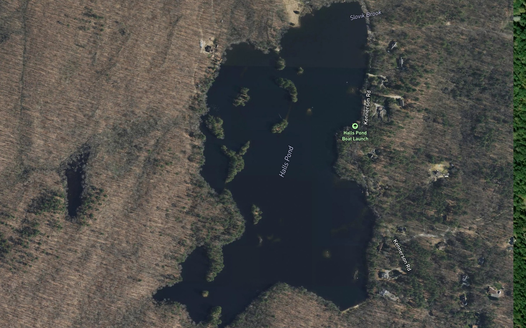 Satellite map of the Halls Pond