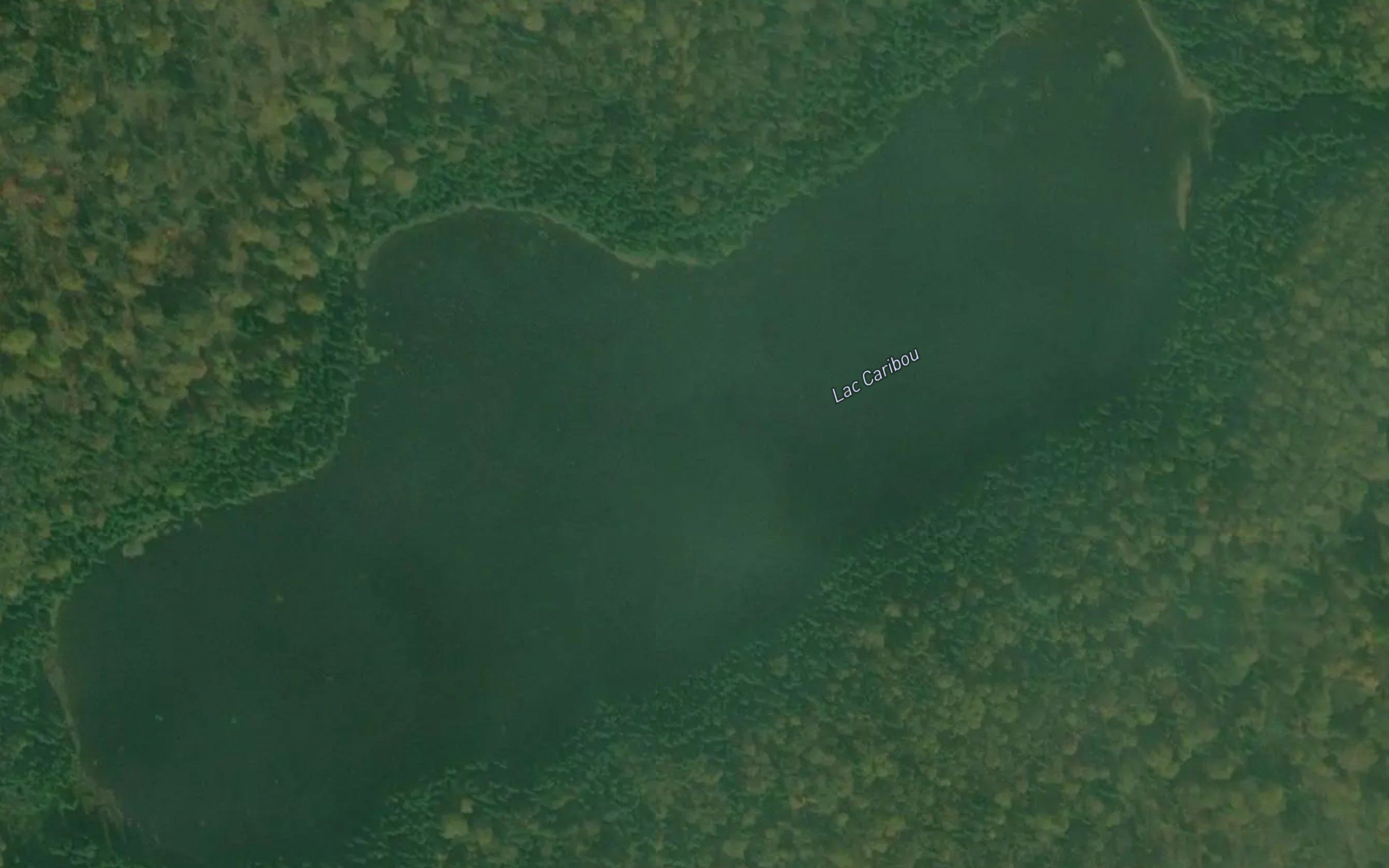 Lac Caribou