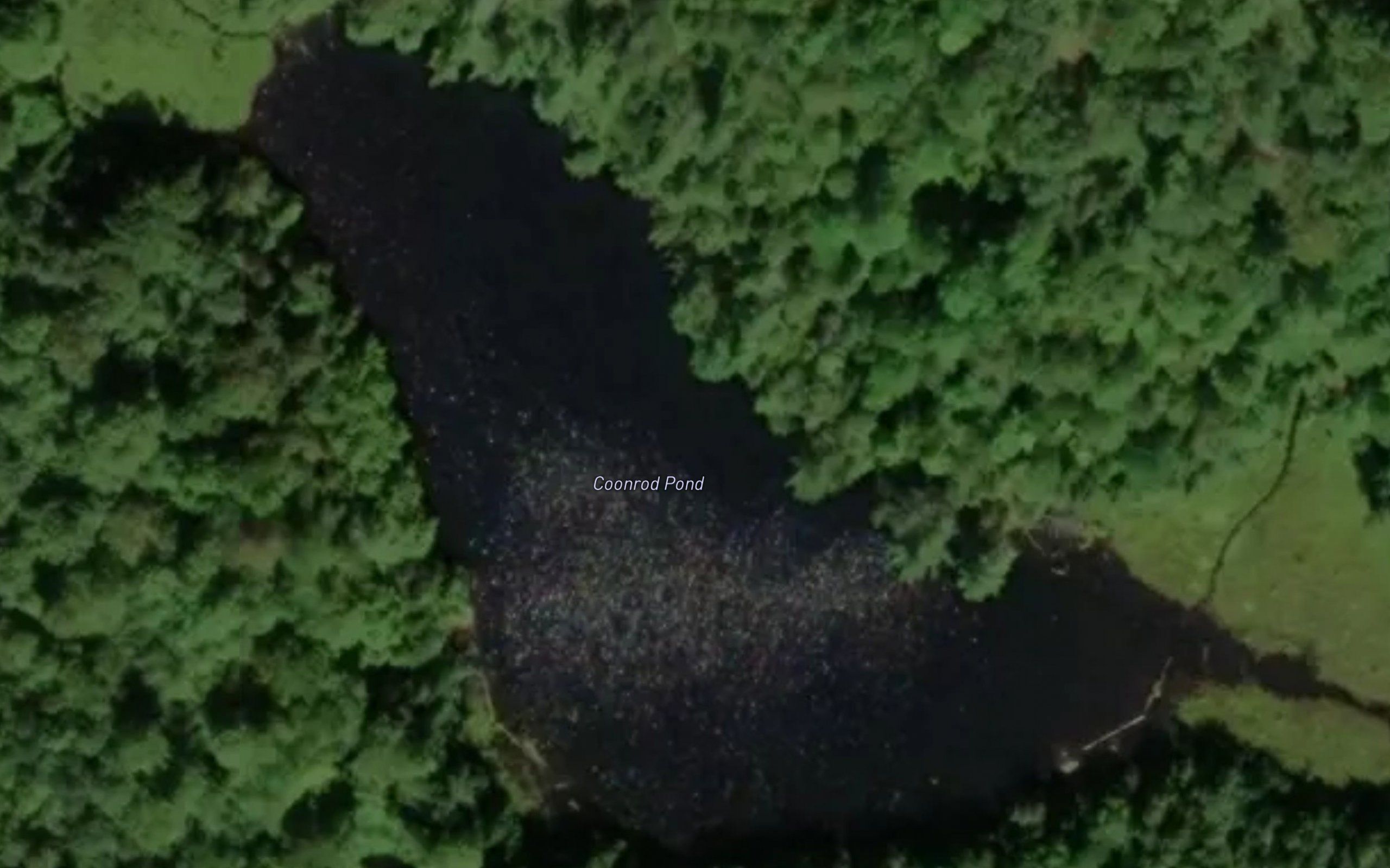 Coonrod Pond