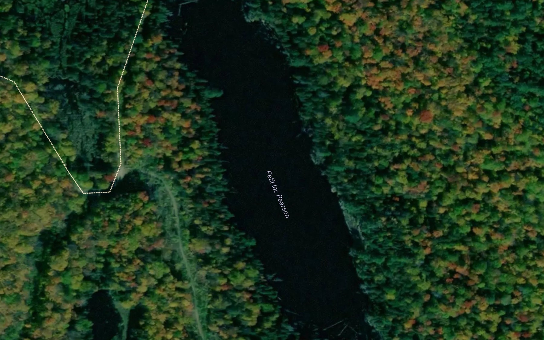 Satellite map of the Petit lac Pearson