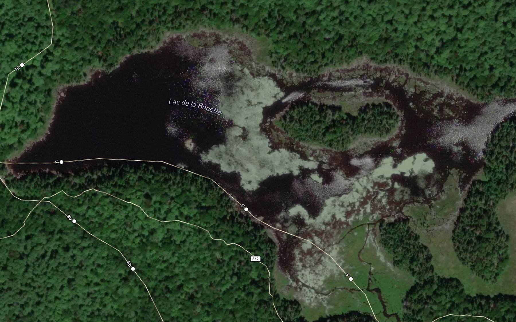 Satellite map of the Lac de la Bouette