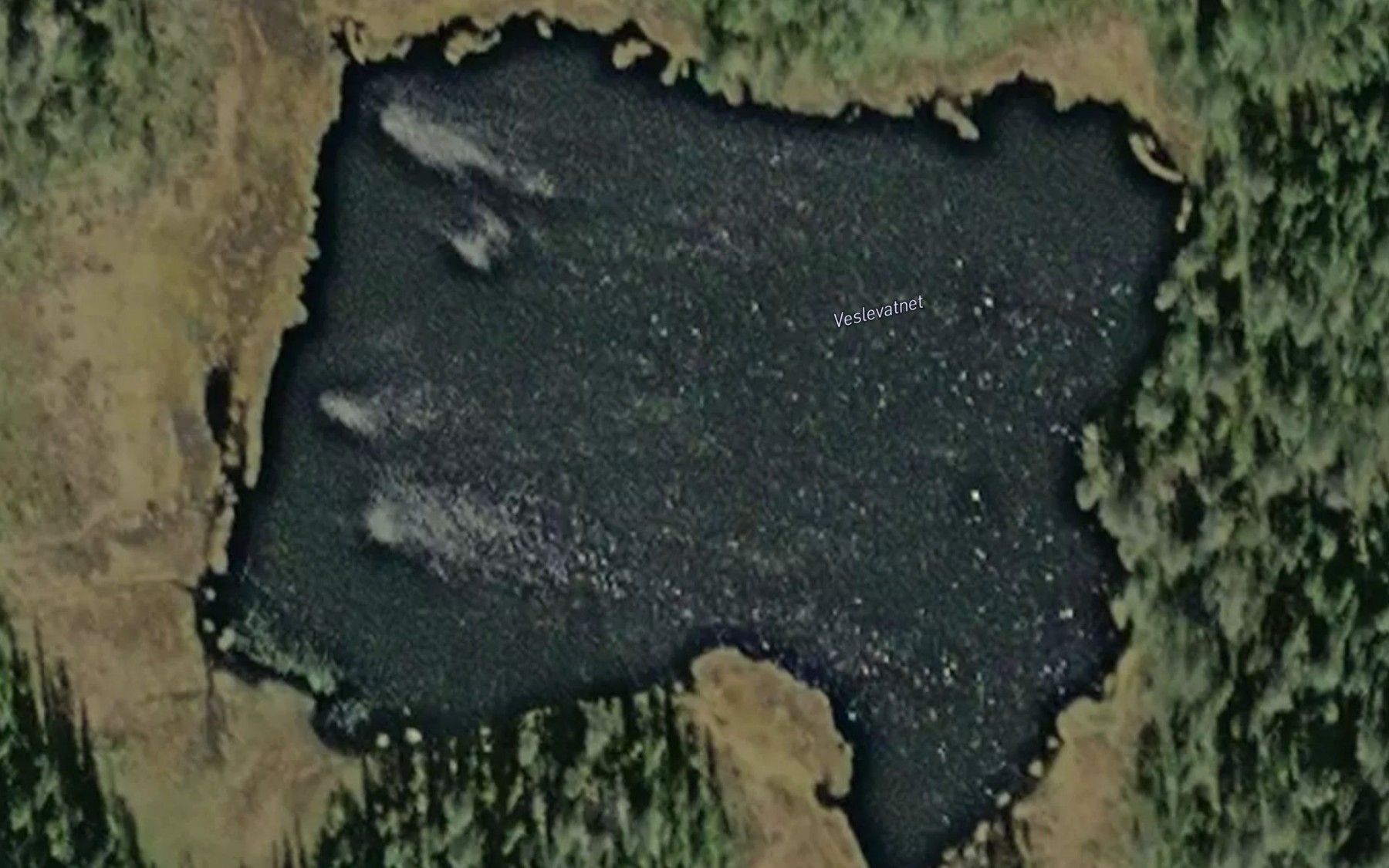 Satellite map of the Veslevatnet