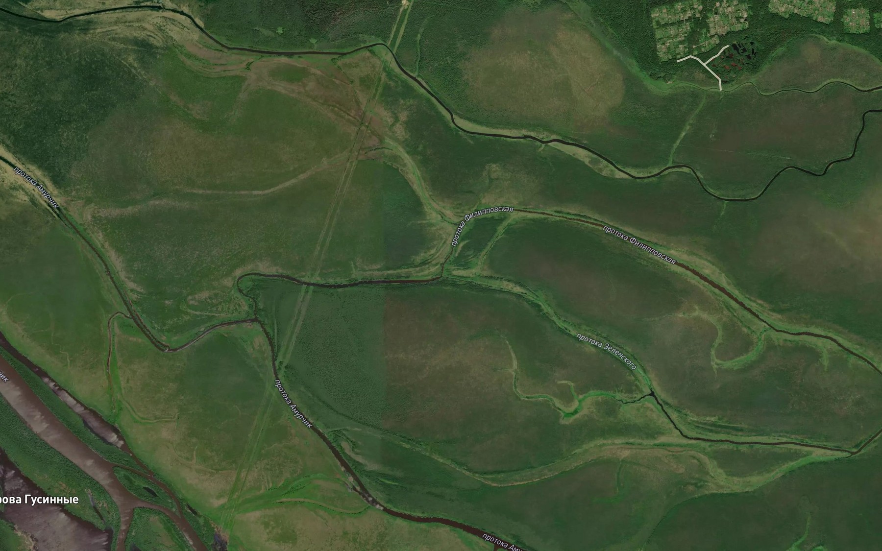 Satellite map of the Protoka Filippovskaya