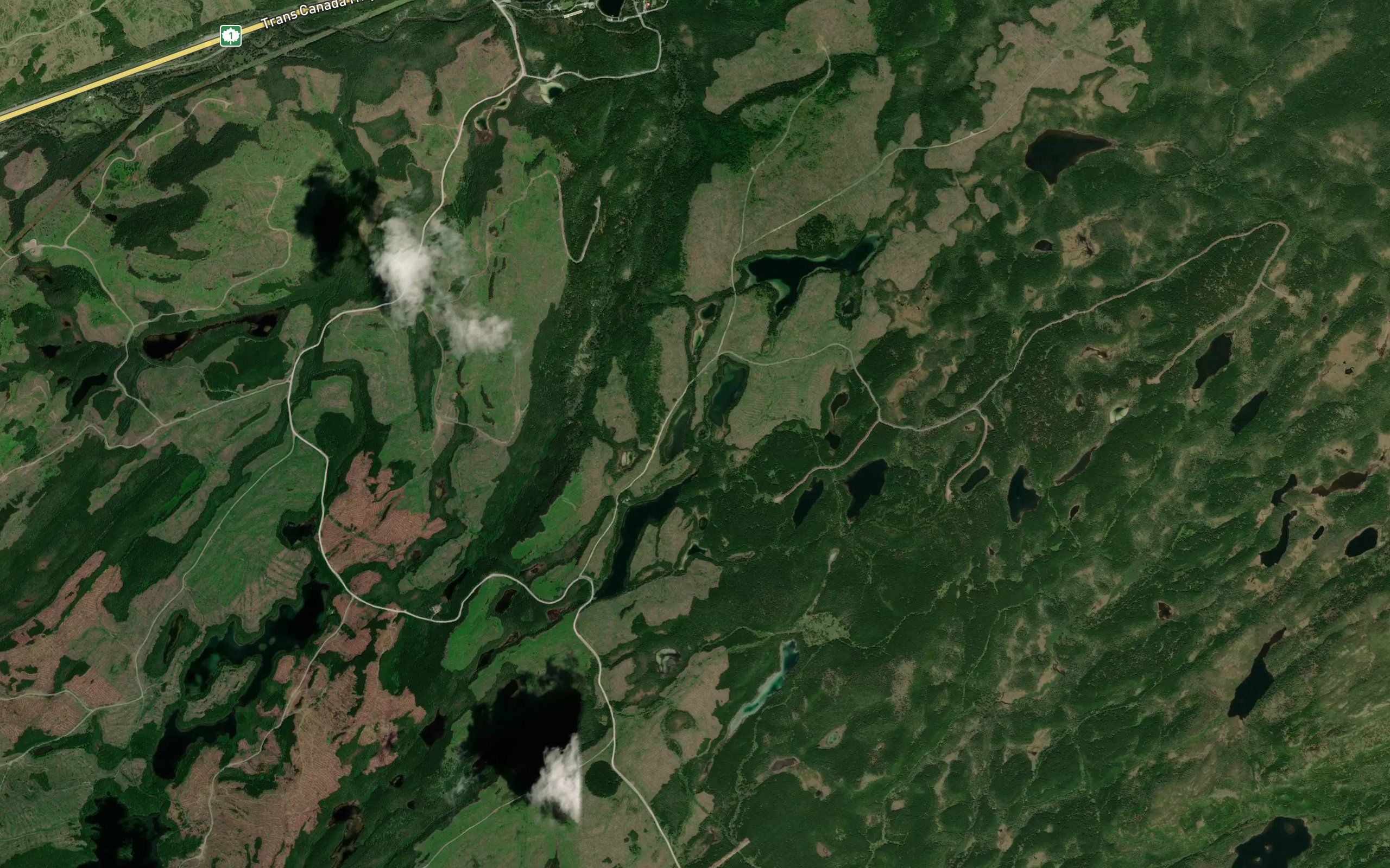 Gullet Pond