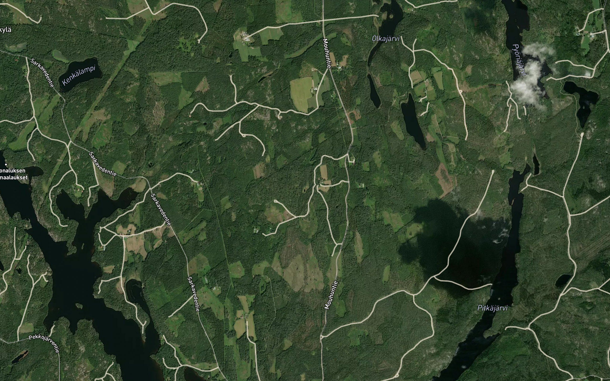 Lehmalampi