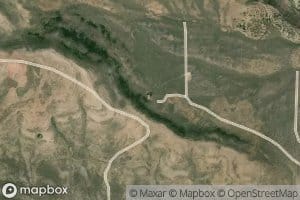 Bear Valley Spring