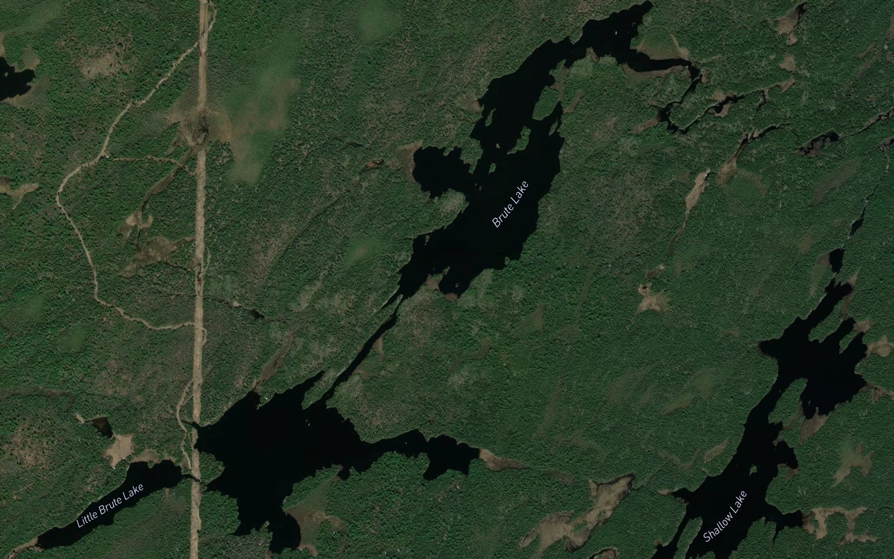 Satellite map of the Brute Lake