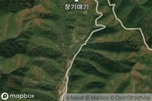 Pidae-ji