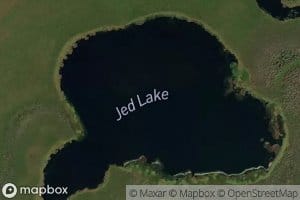Jed Lake