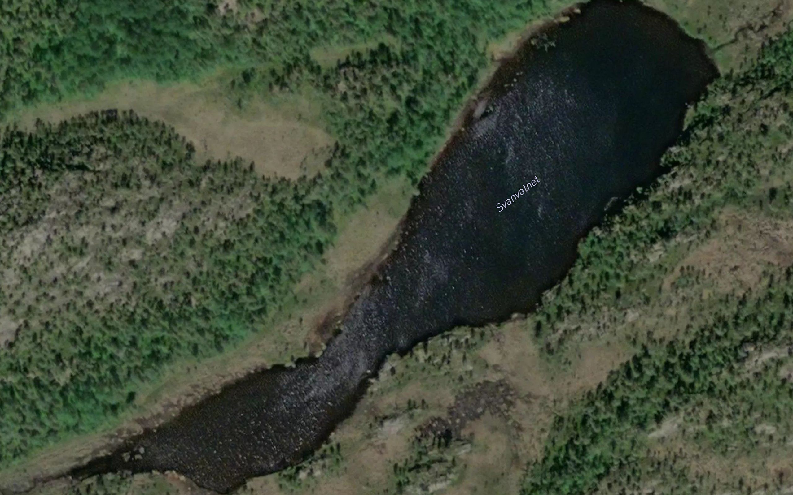 Svanvatnet