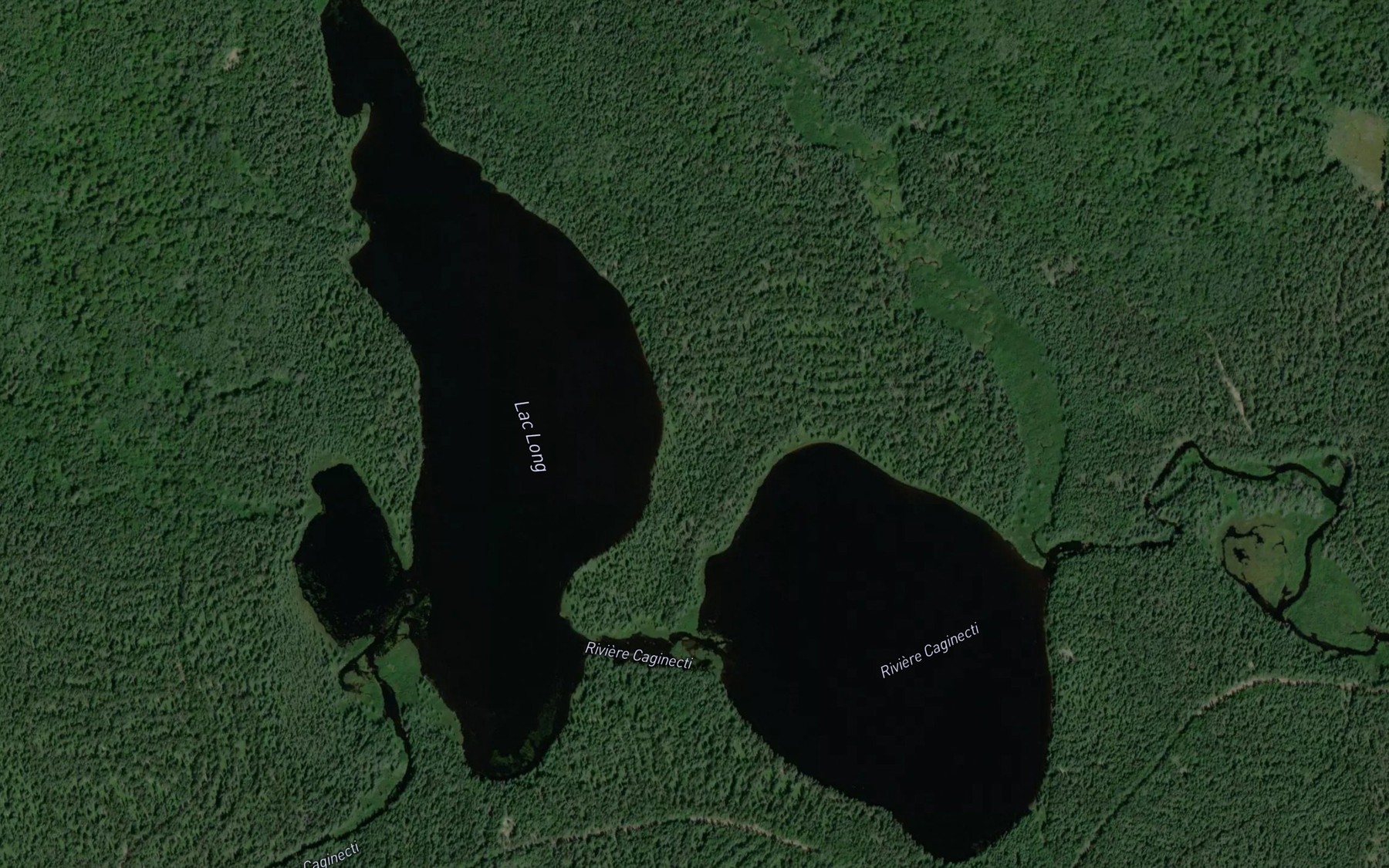 Satellite map of the Lac Long