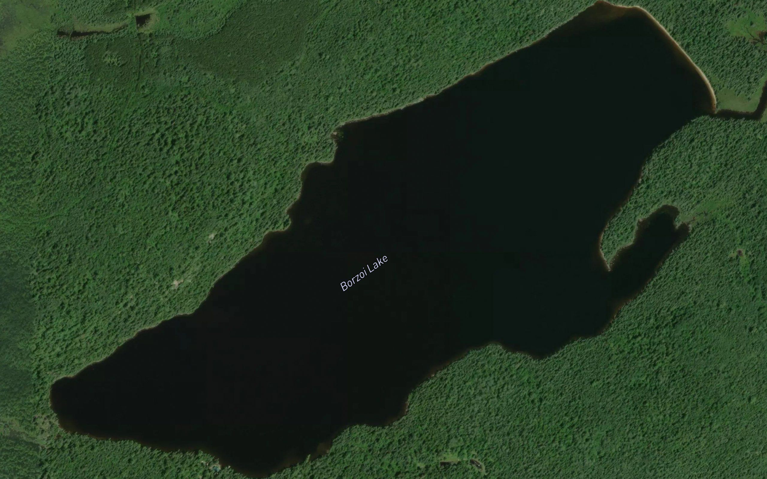 Borzoi Lake