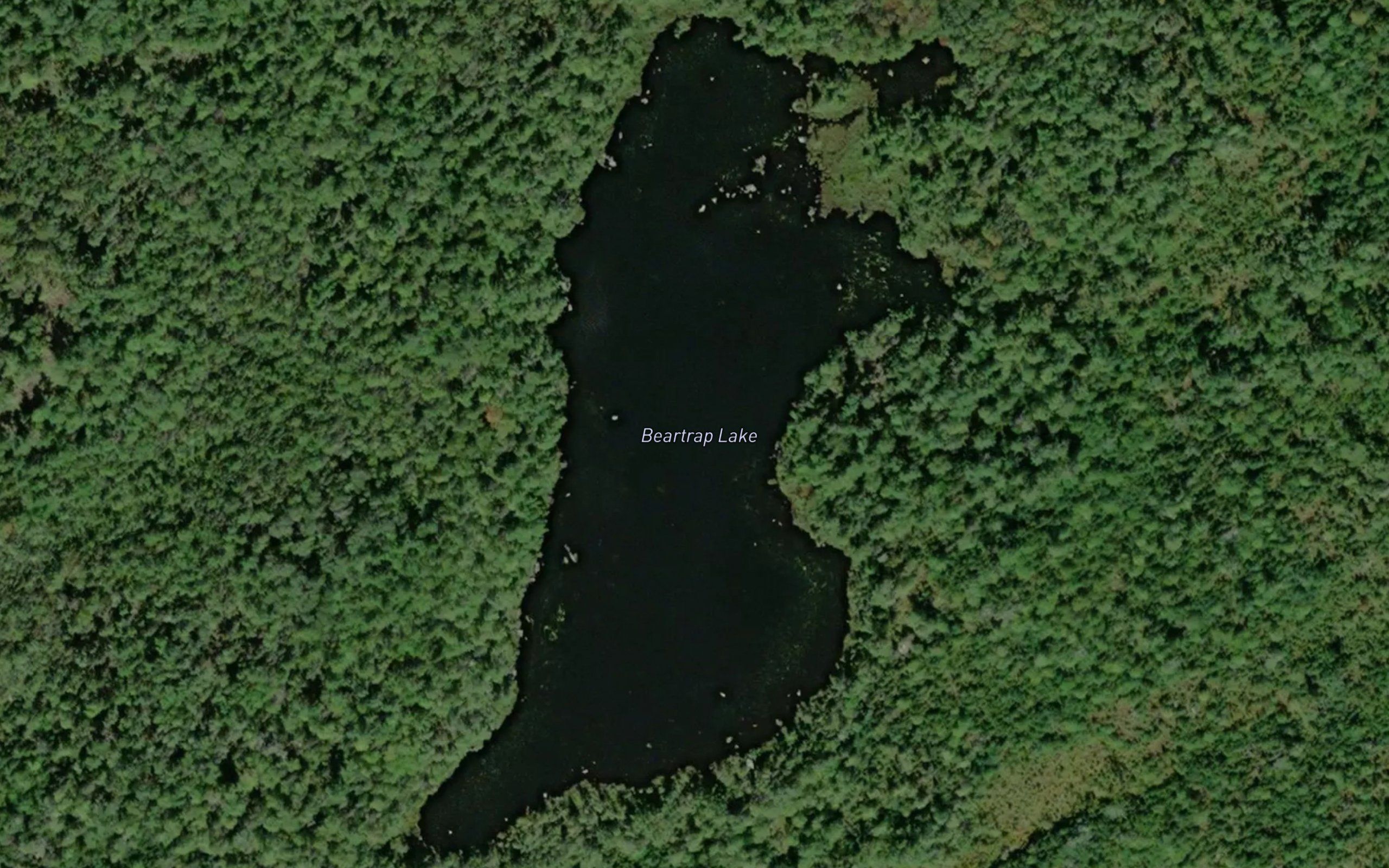 Beartrap Lake