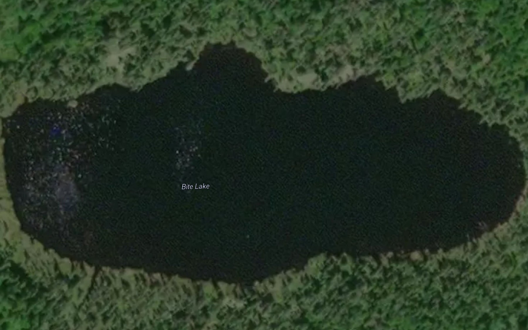 Satellite map of the Bite Lake