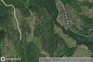 Tracy Creek