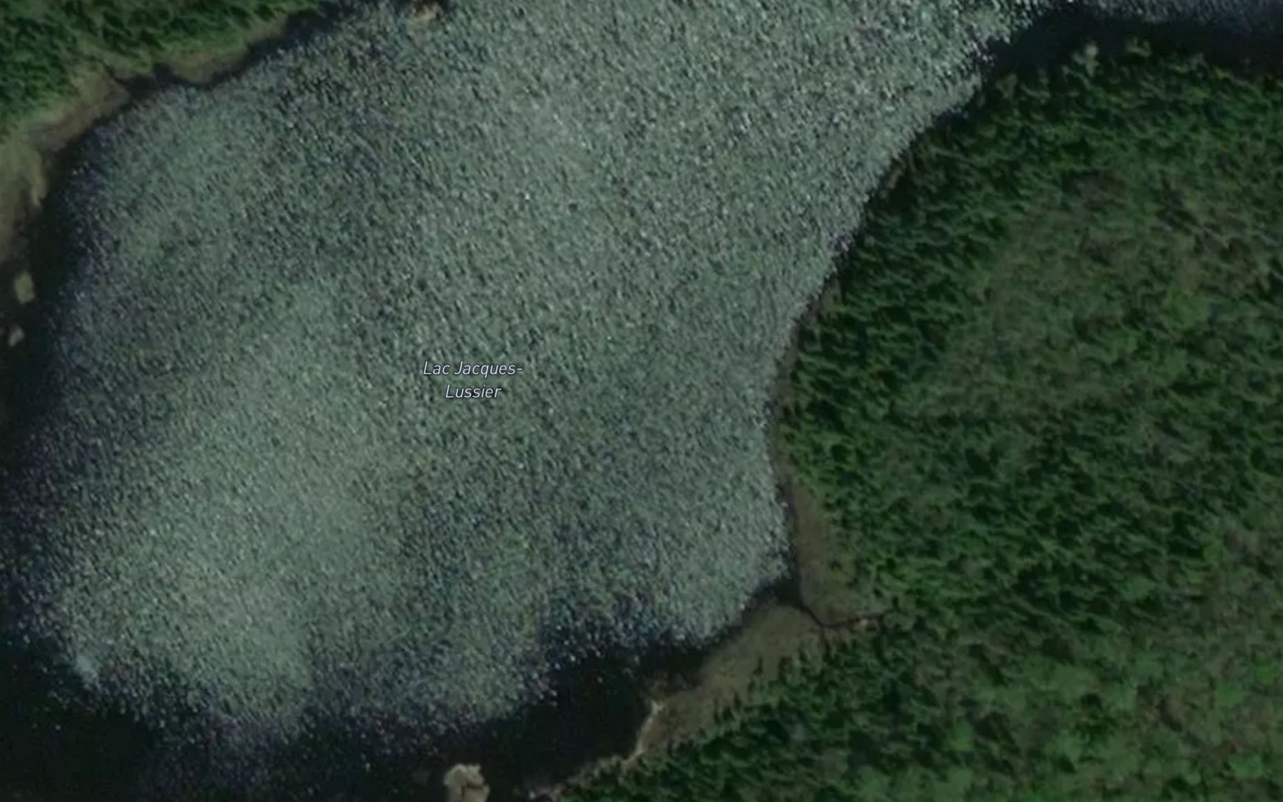 Satellite map of the Lac Jacques-Lussier
