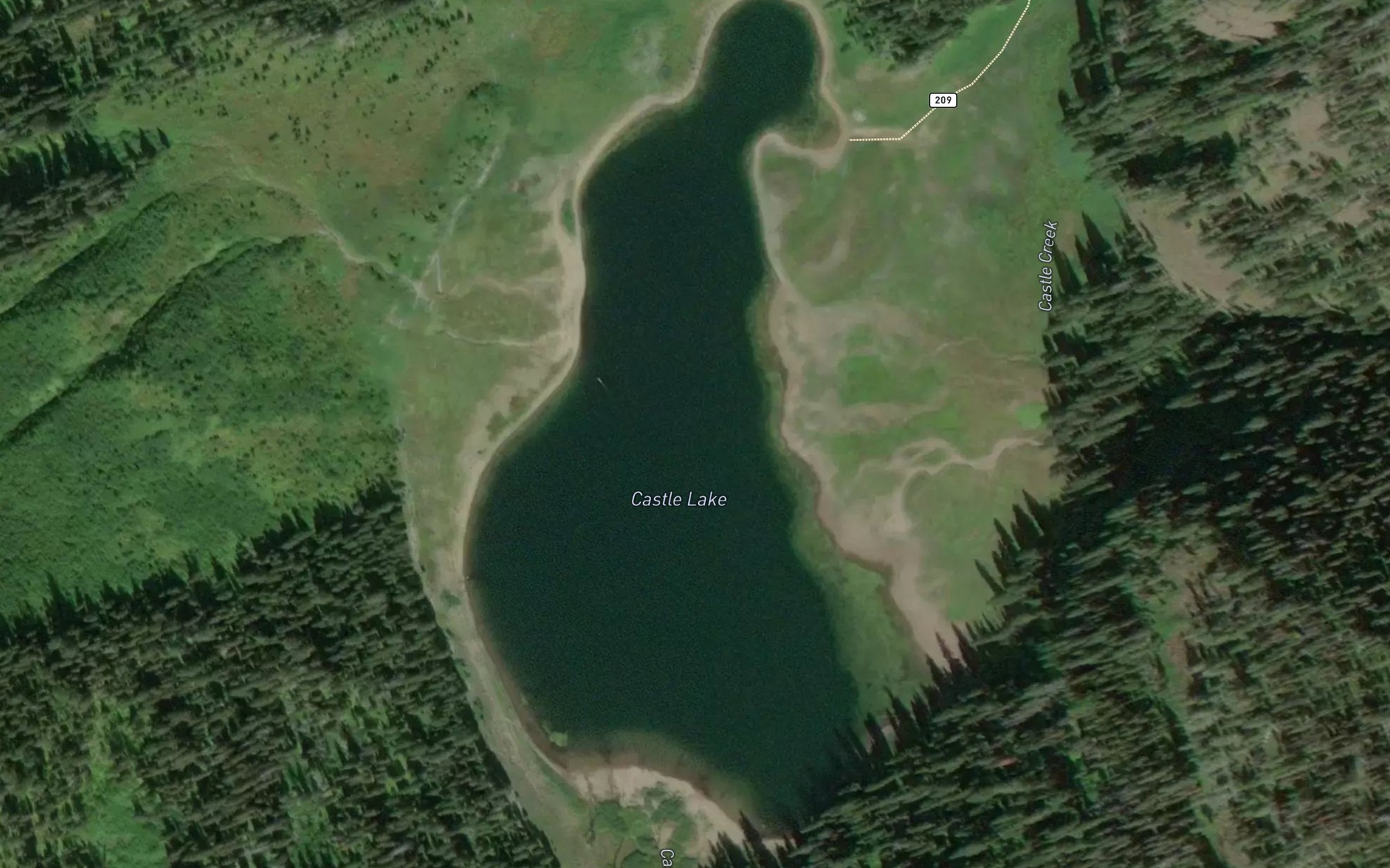 Satellite map of the Castle Lake