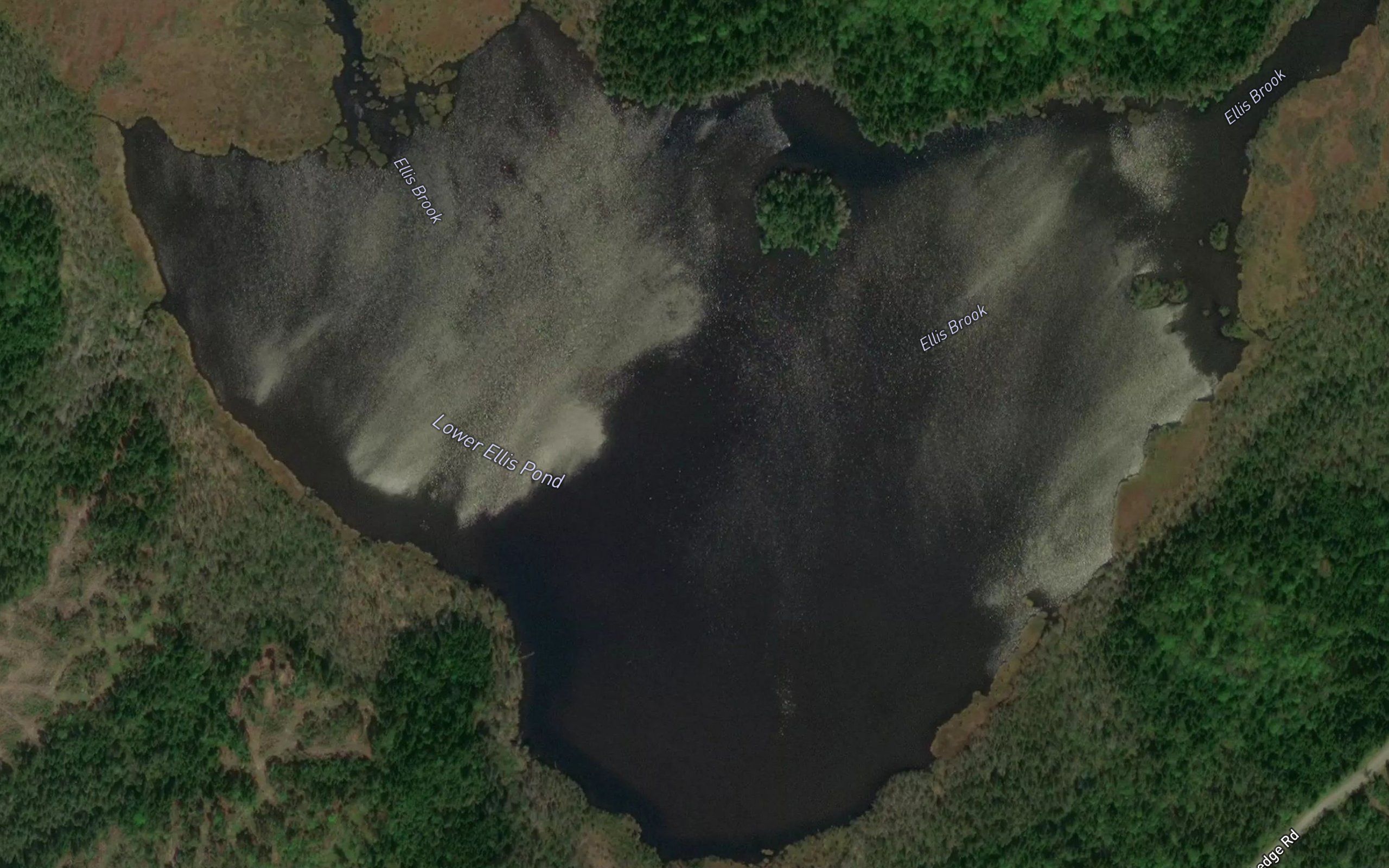 Lower Ellis Pond